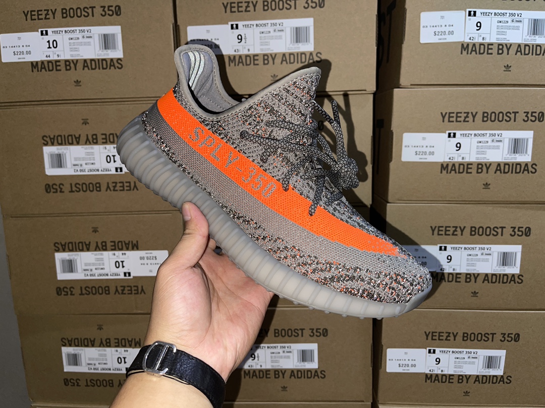 Beluga