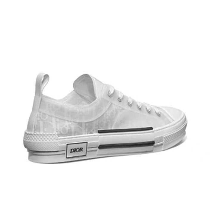 B23 HT OBLIQUE TRANSPARENC