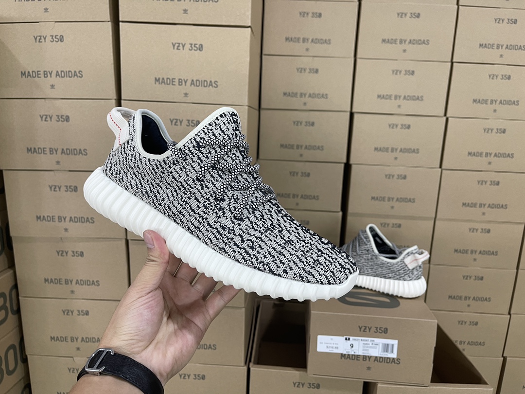 350 Turtledove AQ4832