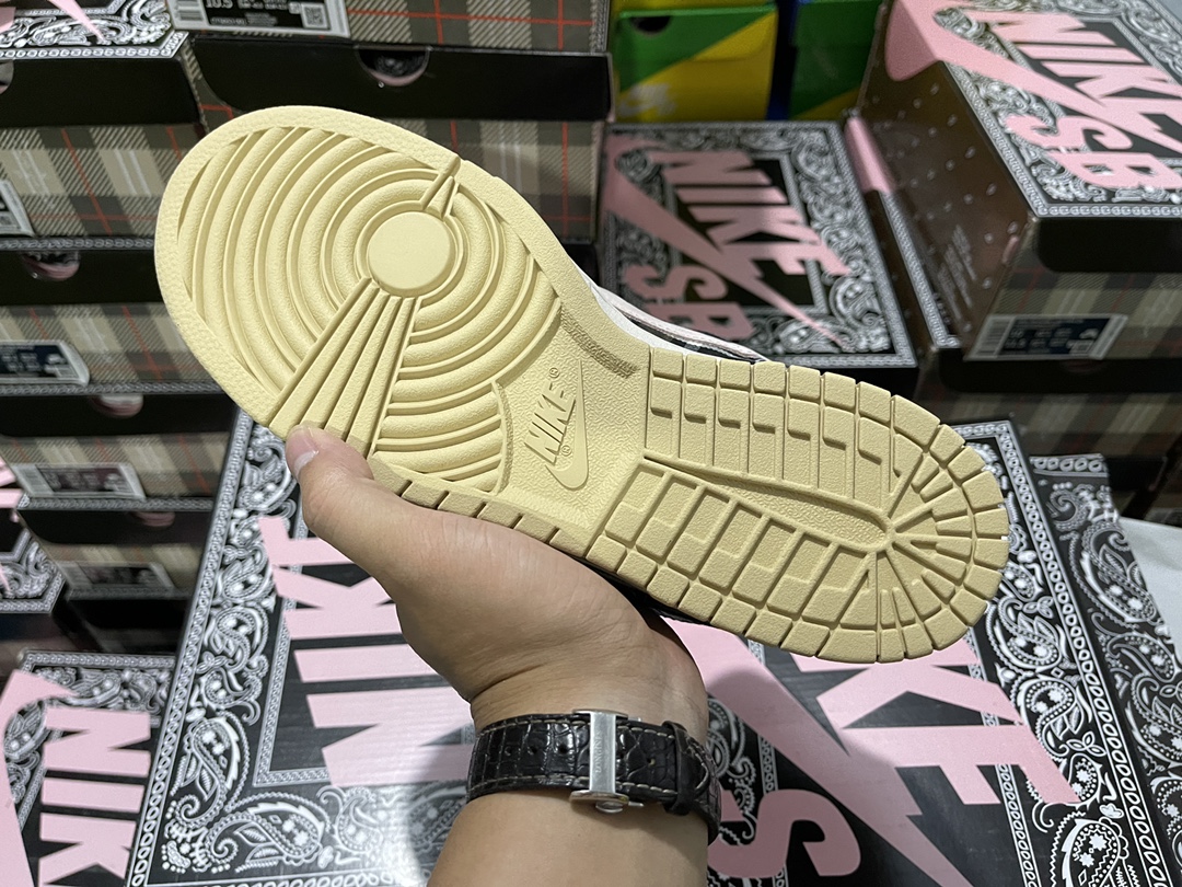 TS x SB Dunk CT5053-001
