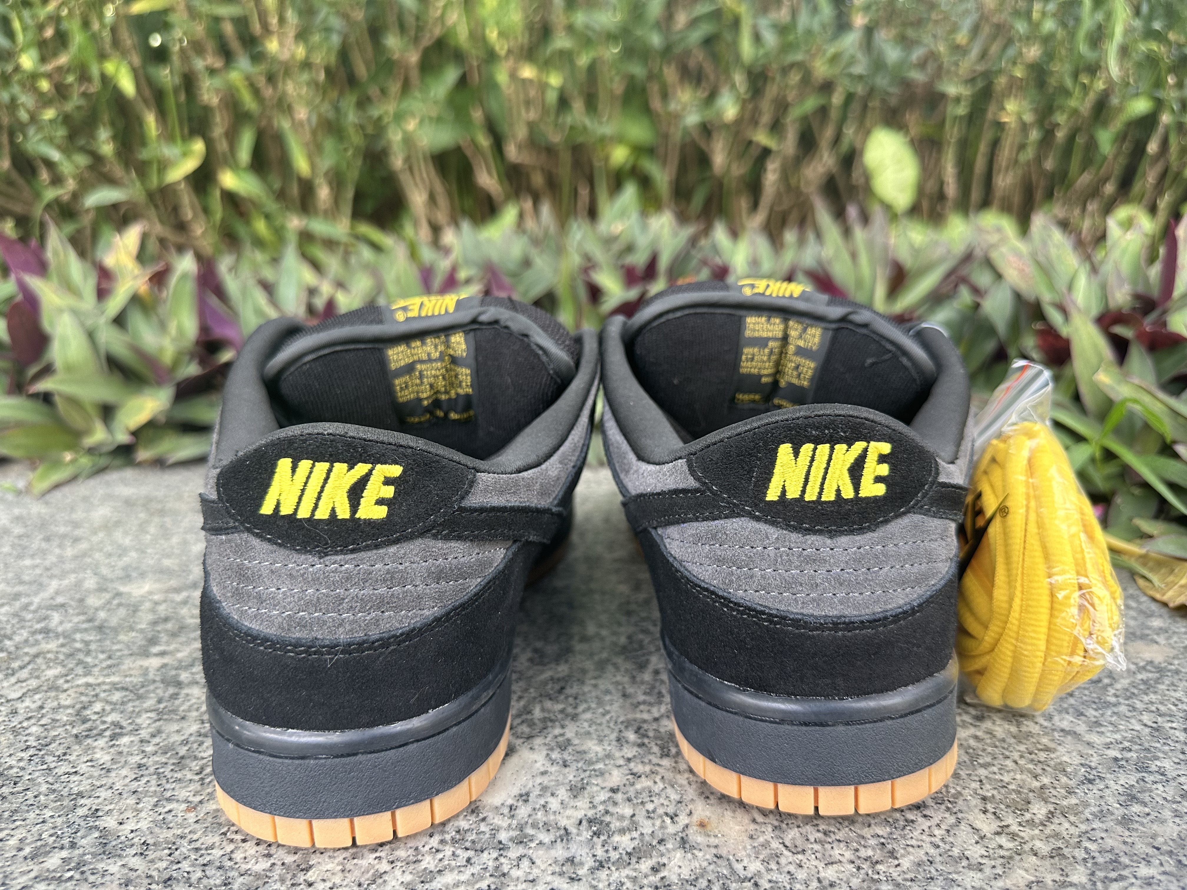 Dunk Low SP Chocolate