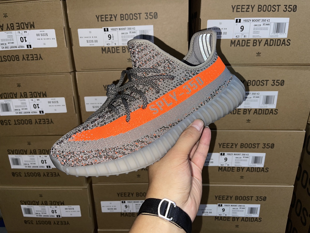 Beluga