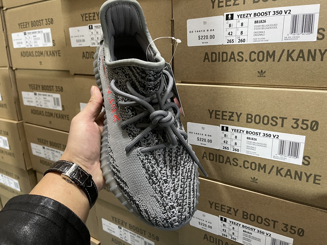 350 V2 Beluga 2.0