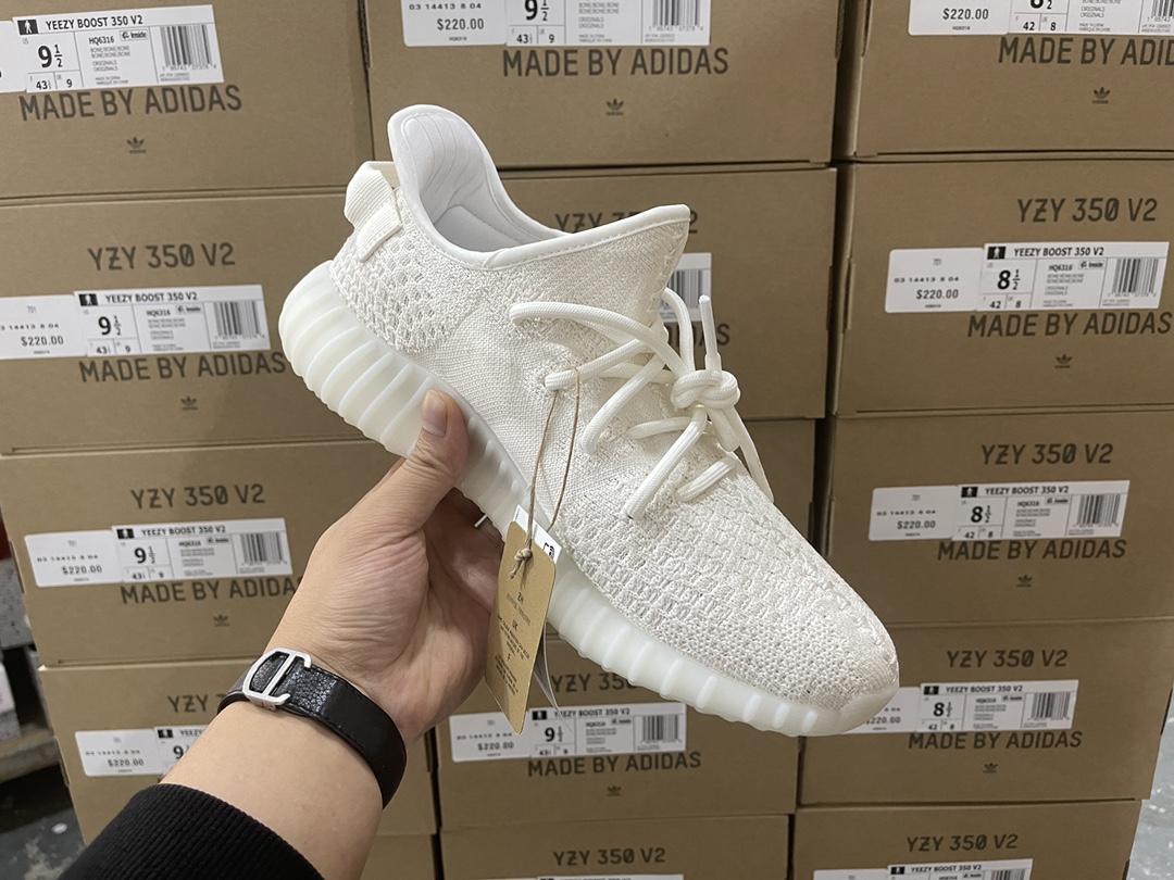 Bone