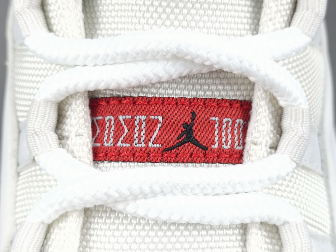 11's Retro Platinum Tint