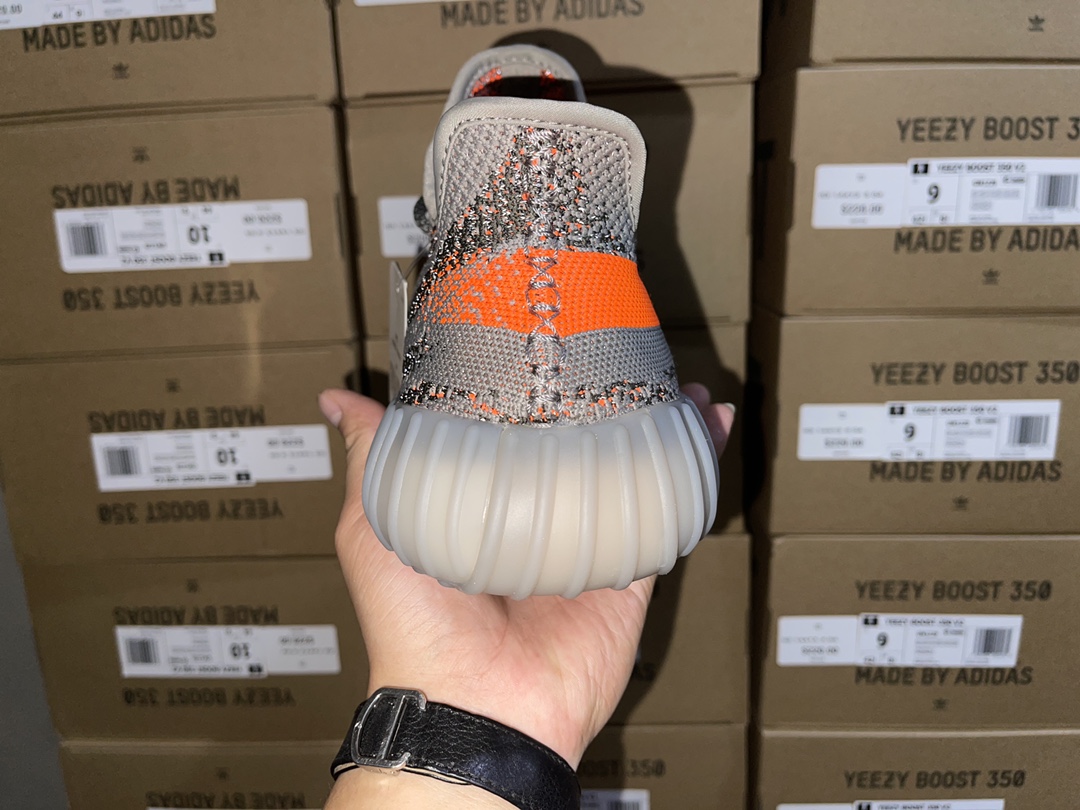 Beluga