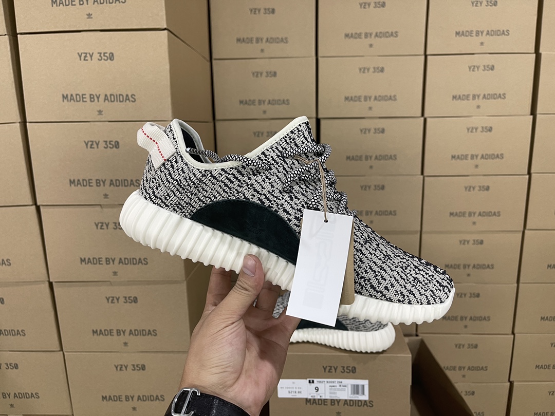350 Turtledove AQ4832