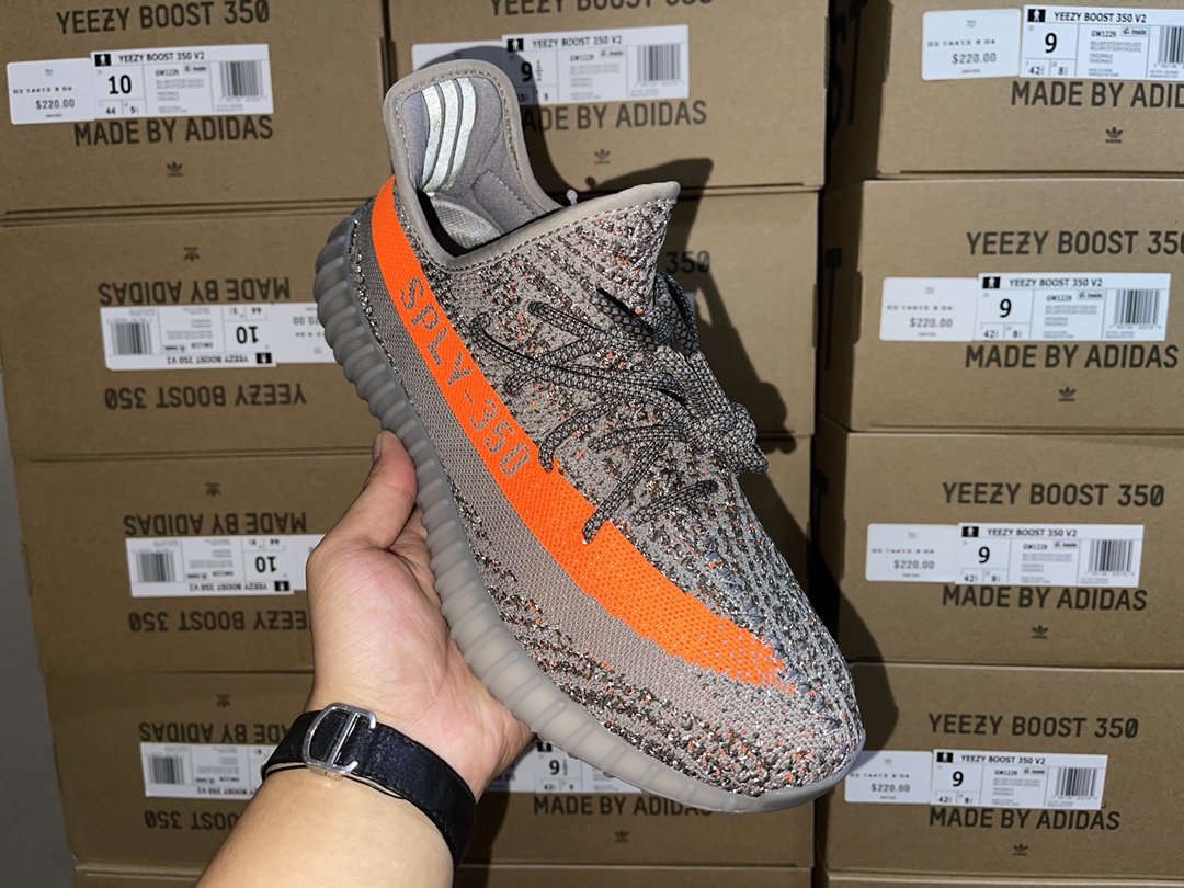 Beluga