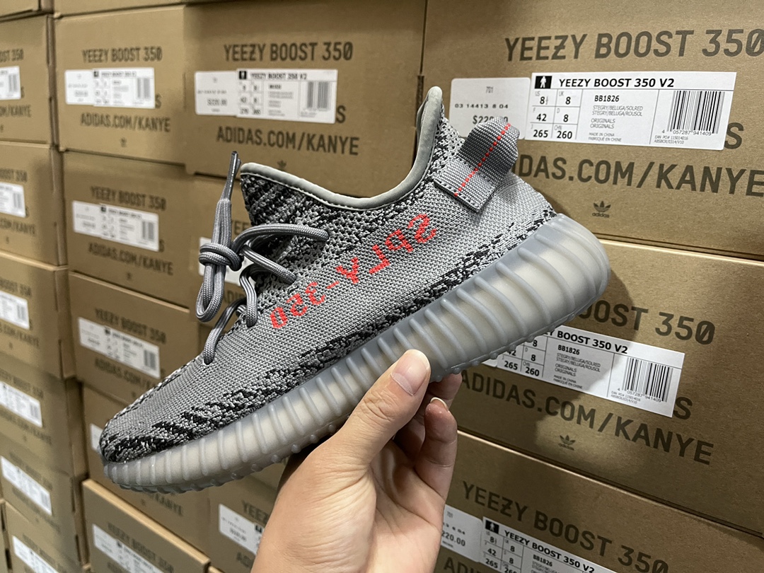 350 V2 Beluga 2.0