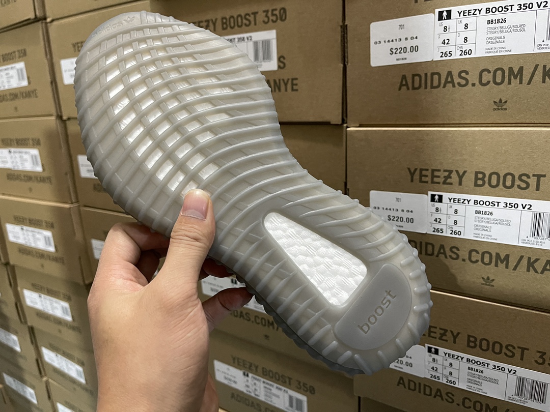 350 V2 Beluga 2.0