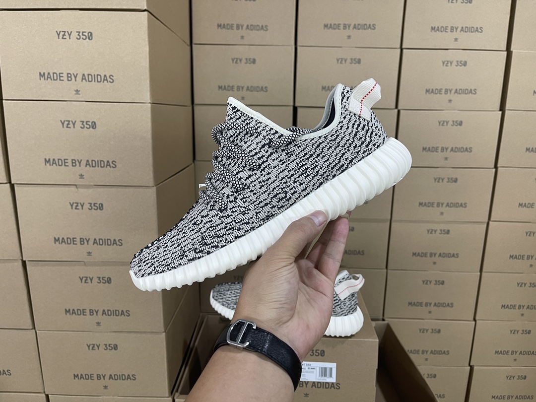 350 Turtledove AQ4832