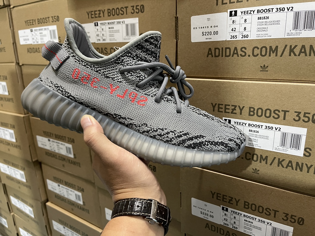 350 V2 Beluga 2.0