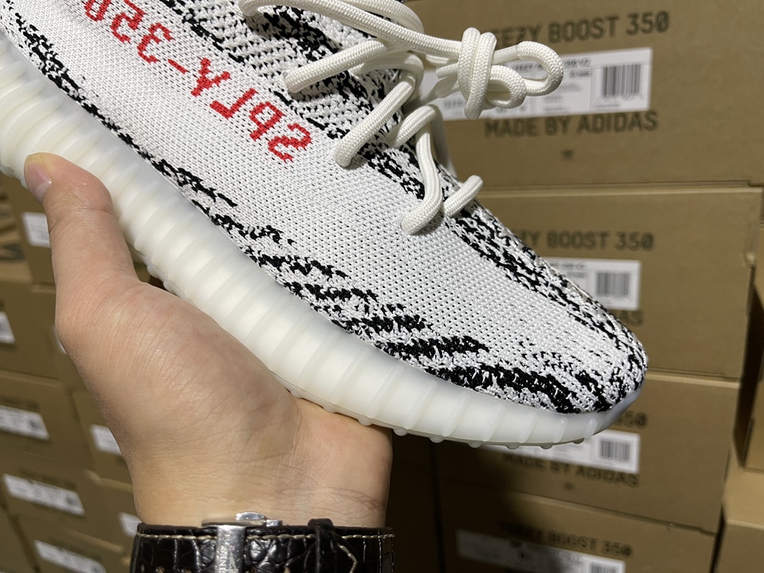 Zebra