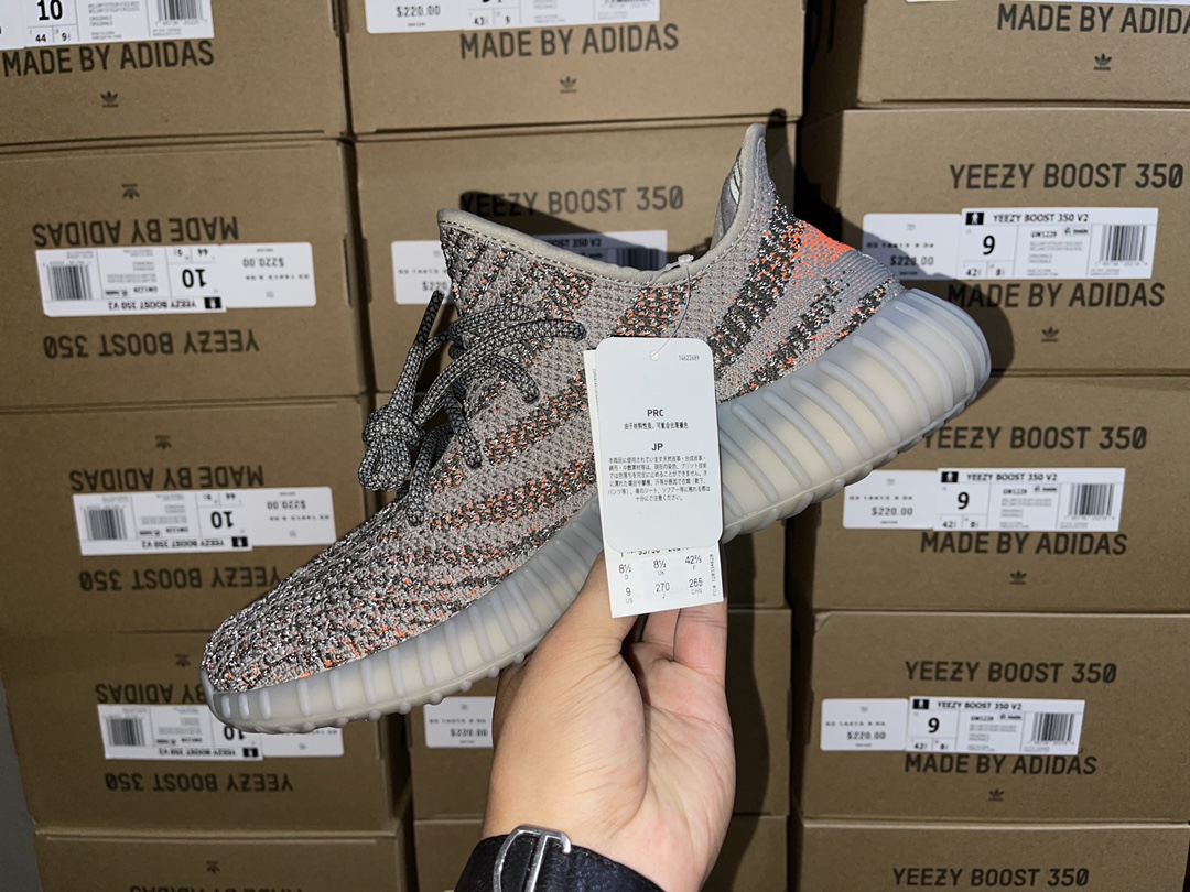 Beluga