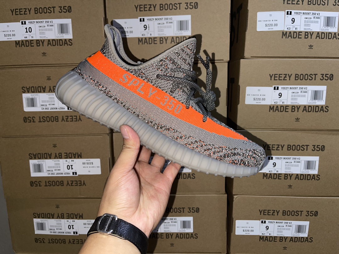 Beluga
