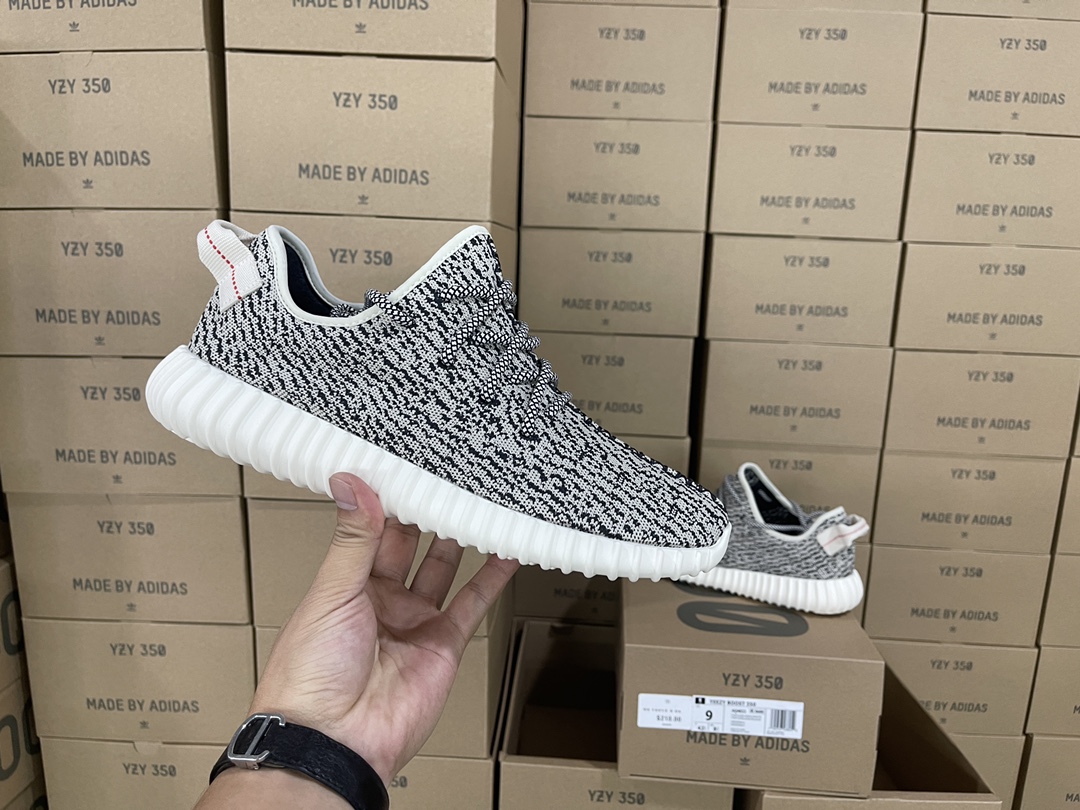 350 Turtledove AQ4832