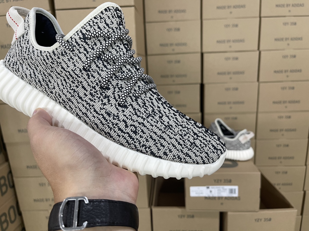 350 Turtledove AQ4832
