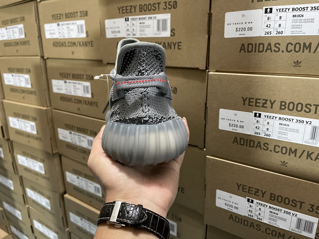 350 V2 Beluga 2.0