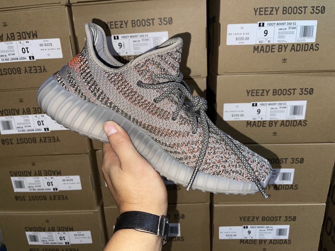 Beluga