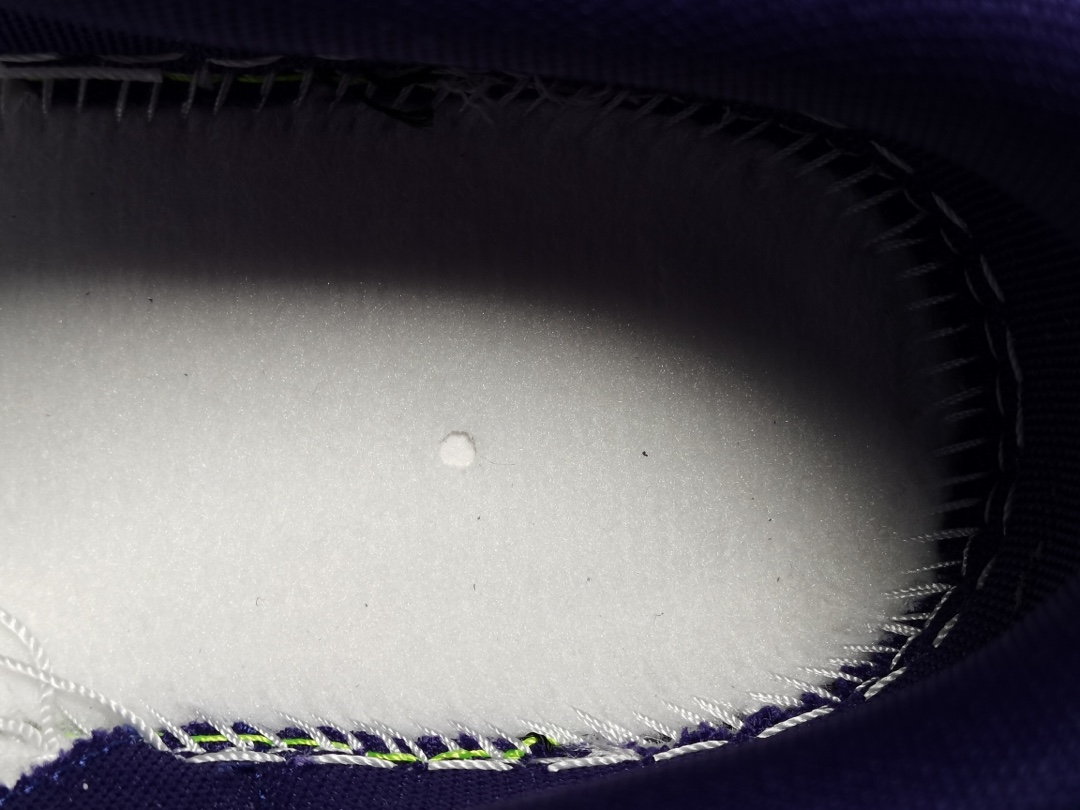 Dunk Low Championship Court Purple