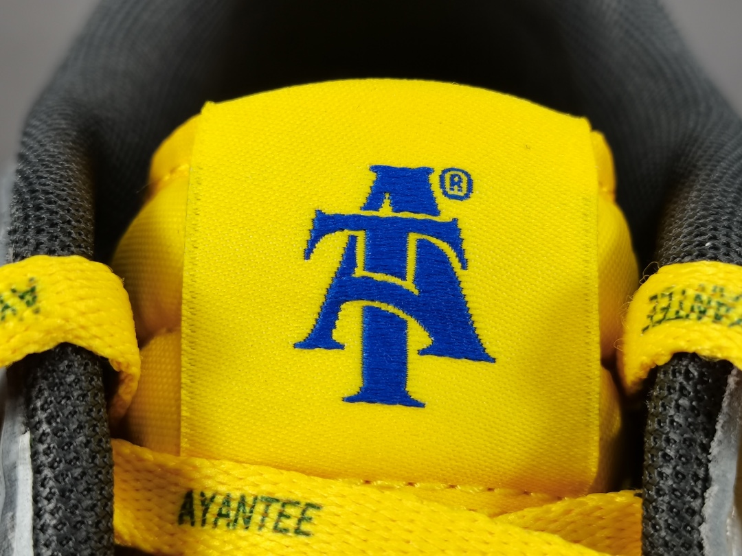 Dunk Low North Carolina A&T