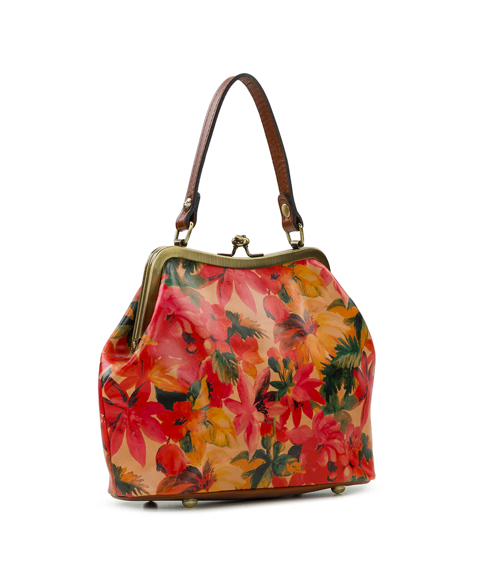 Laureana Frame Satchel