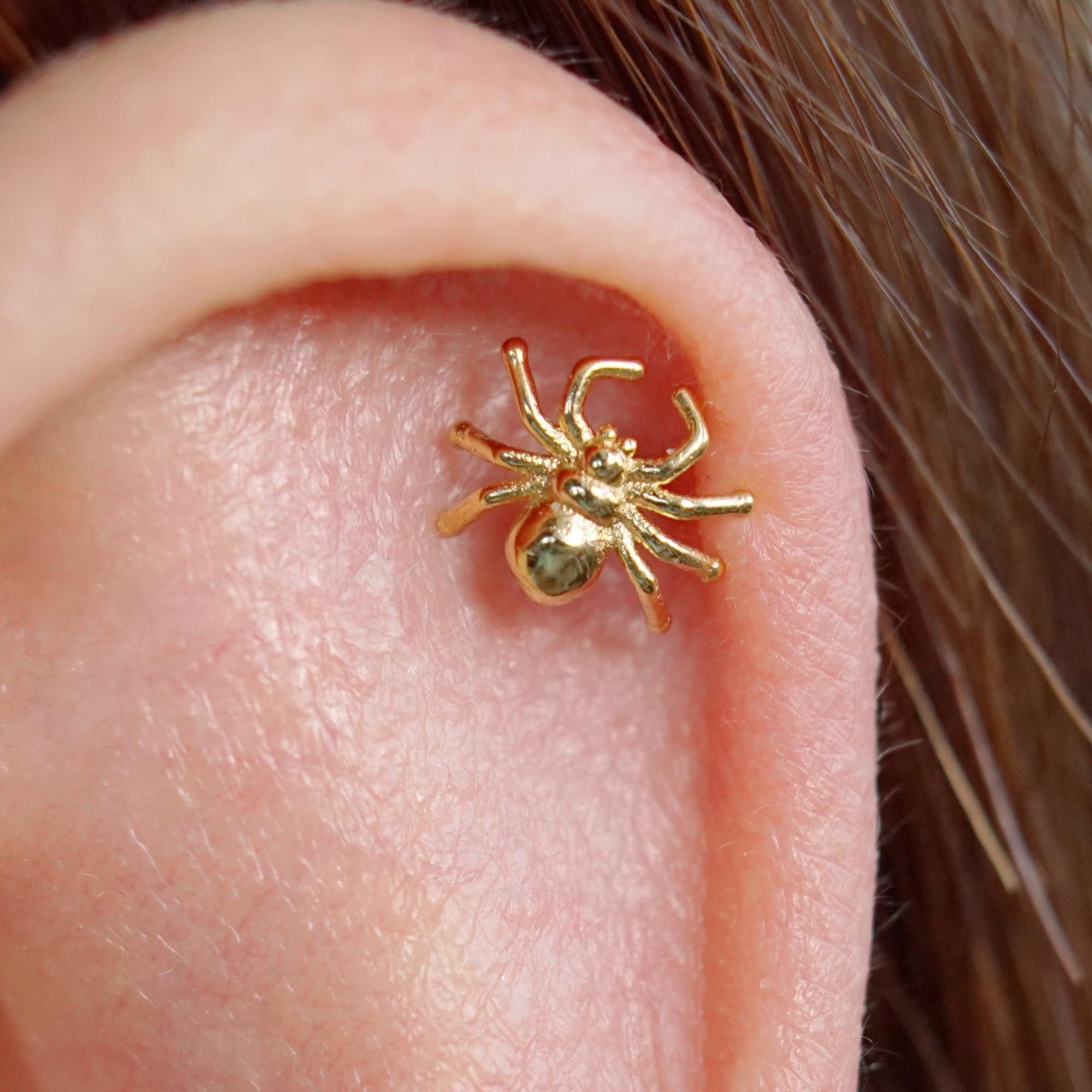 Spider Gold Stud Earrings Push Pin