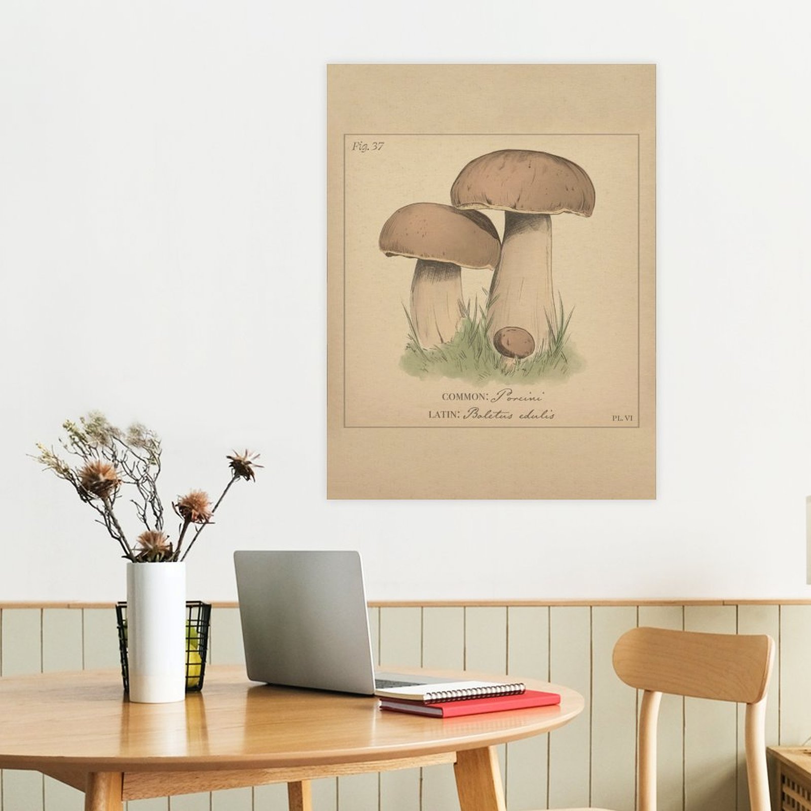 Porcini