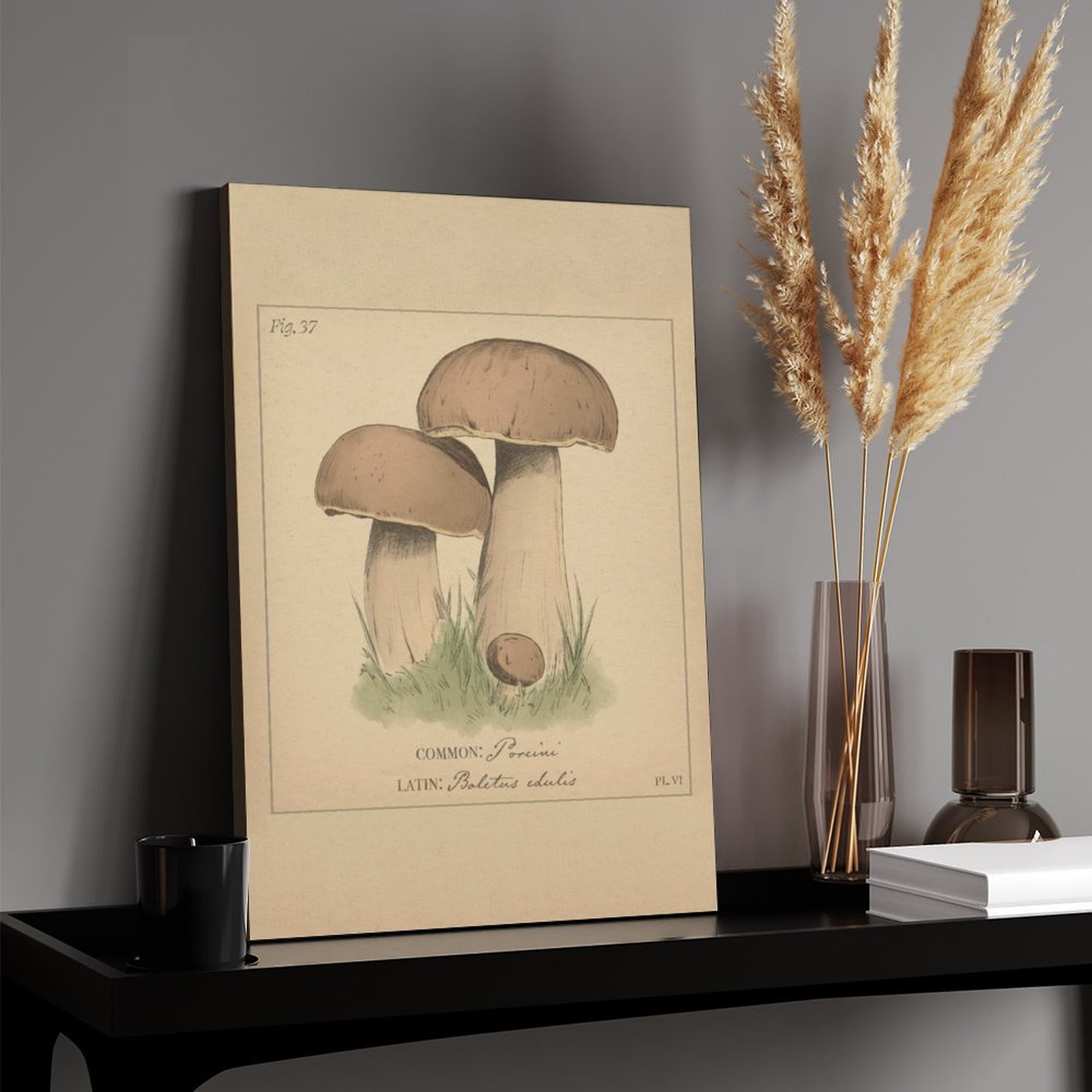 Porcini