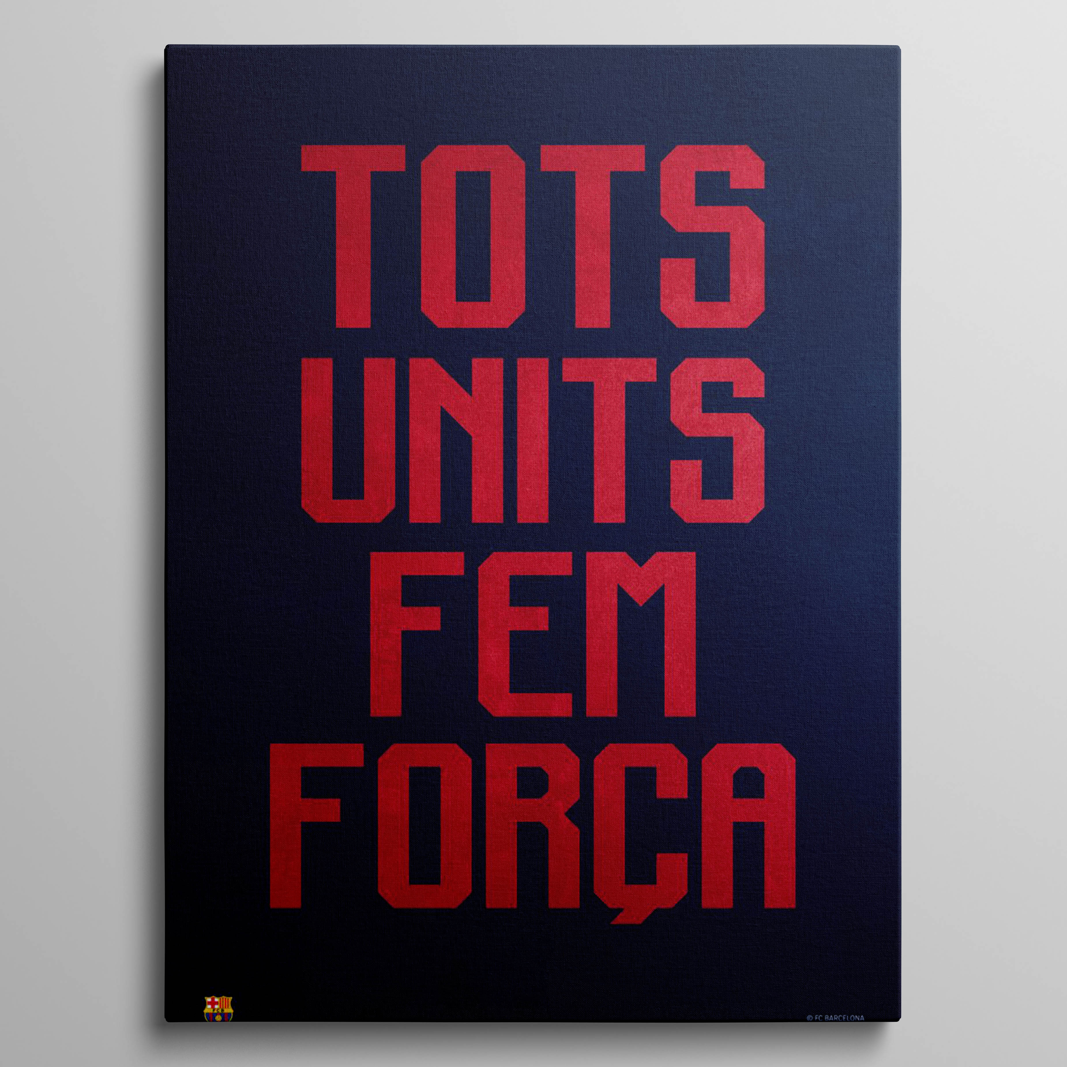 Tots Units Fem Forca navy