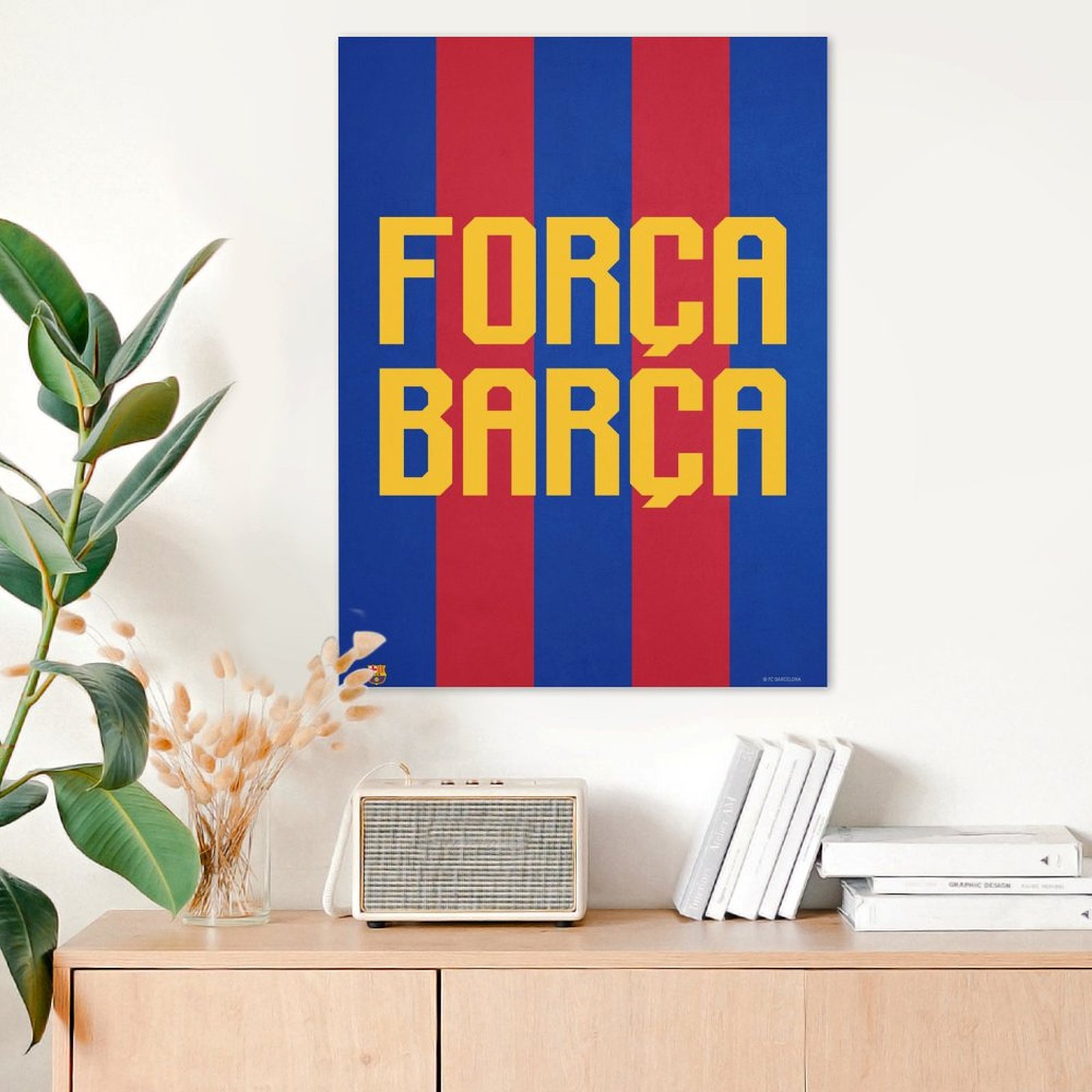 Forza Barca