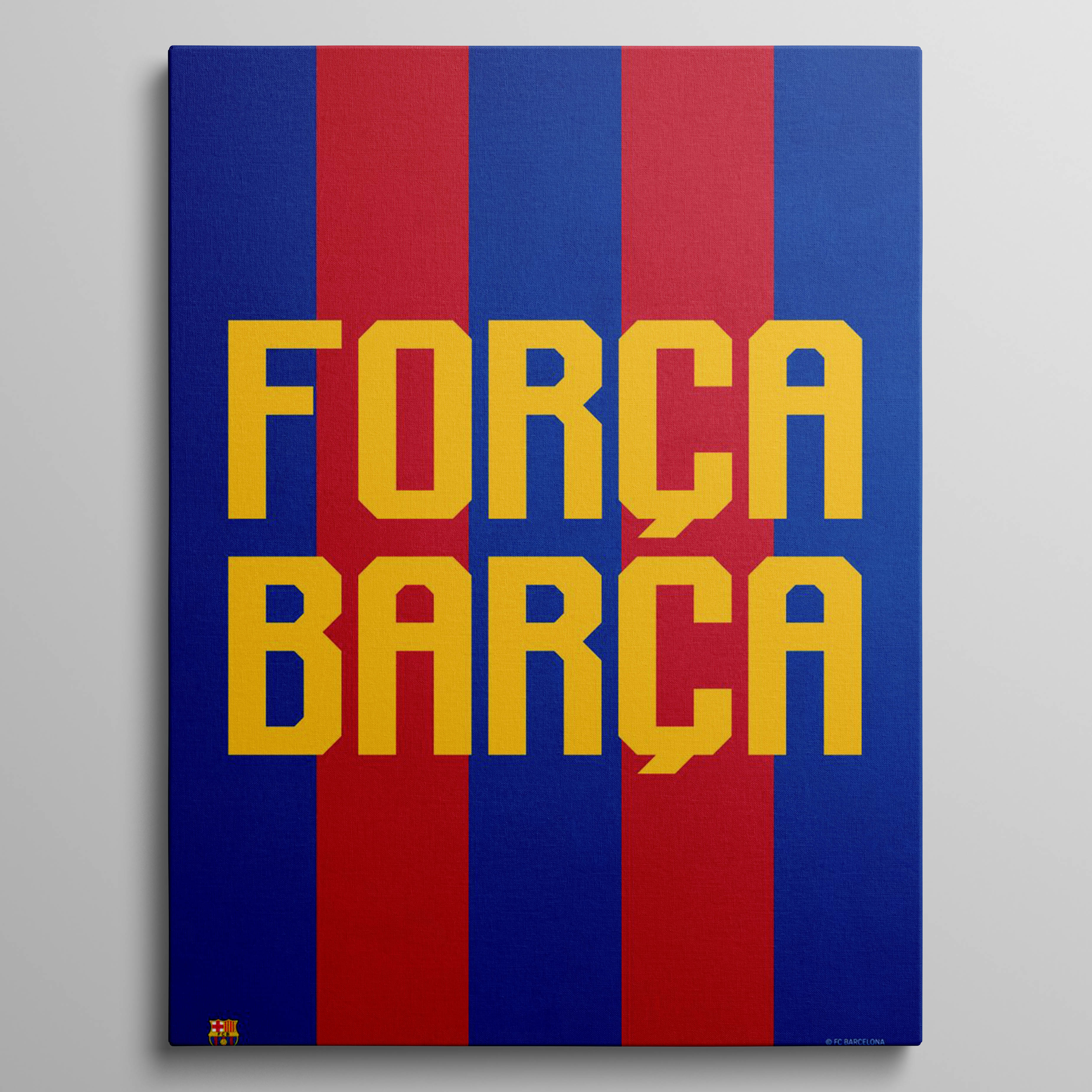 Forza Barca