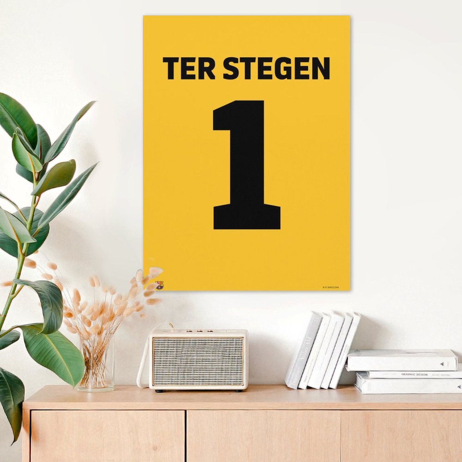 Ter Stegen Jersey
