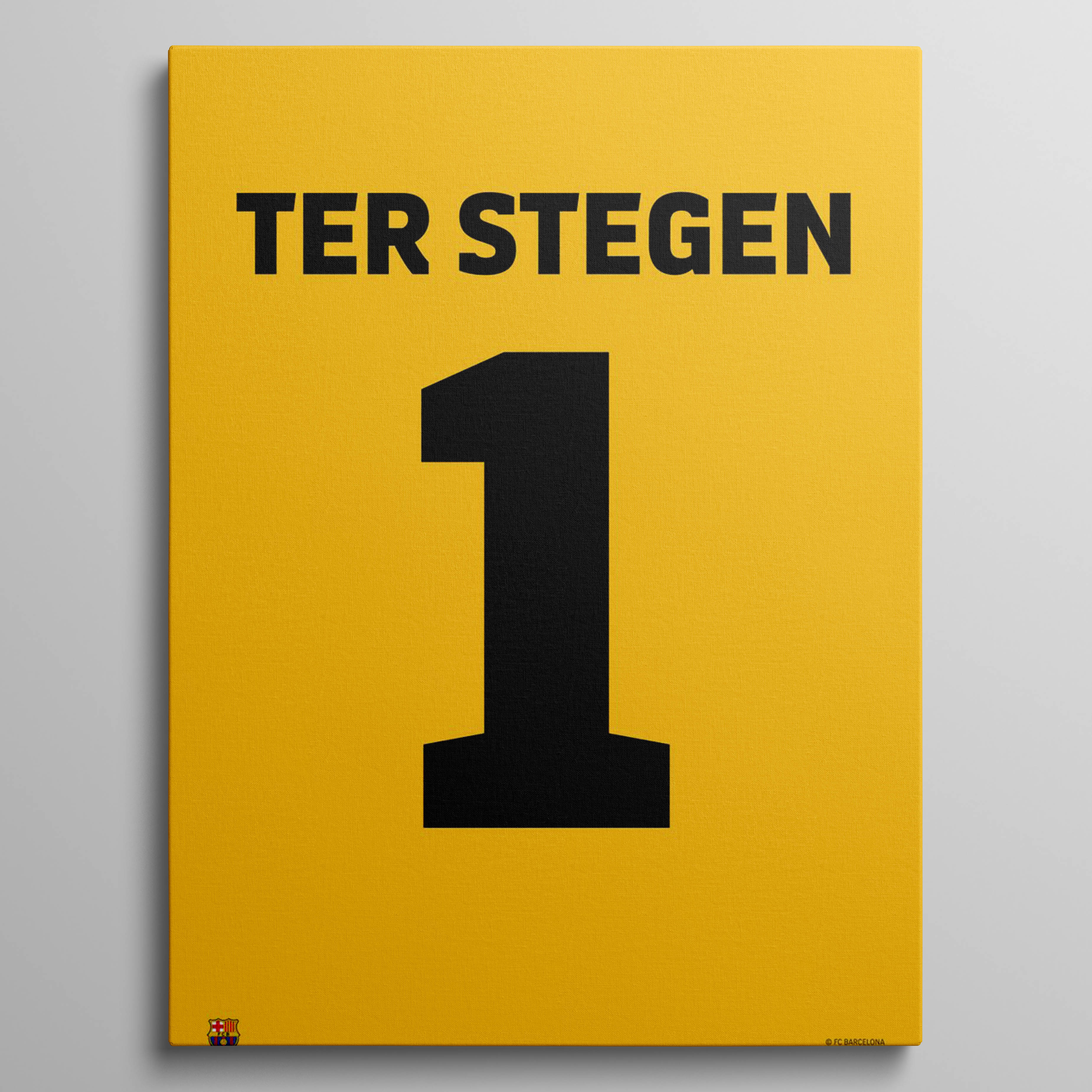 Ter Stegen Jersey