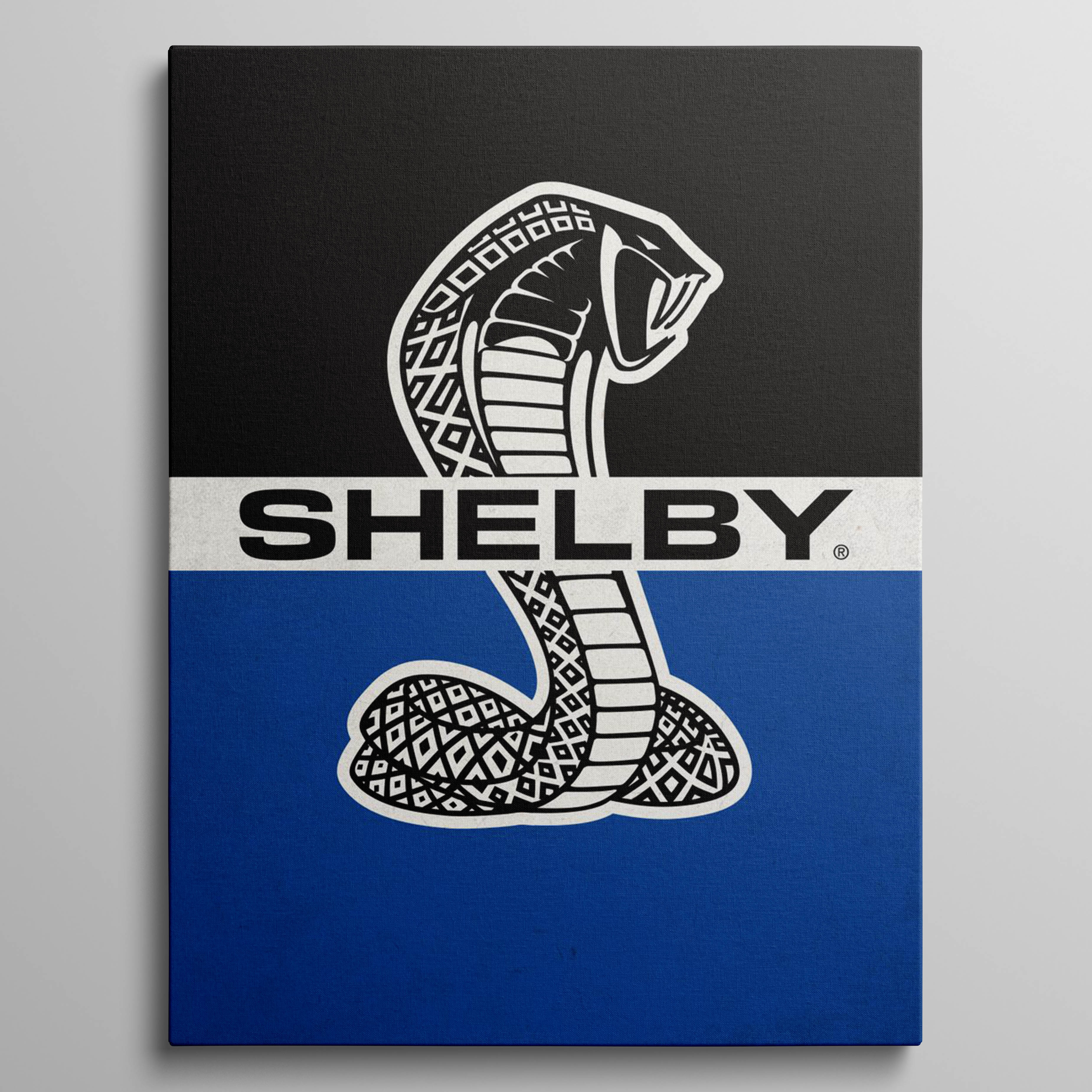 Shelby Snake