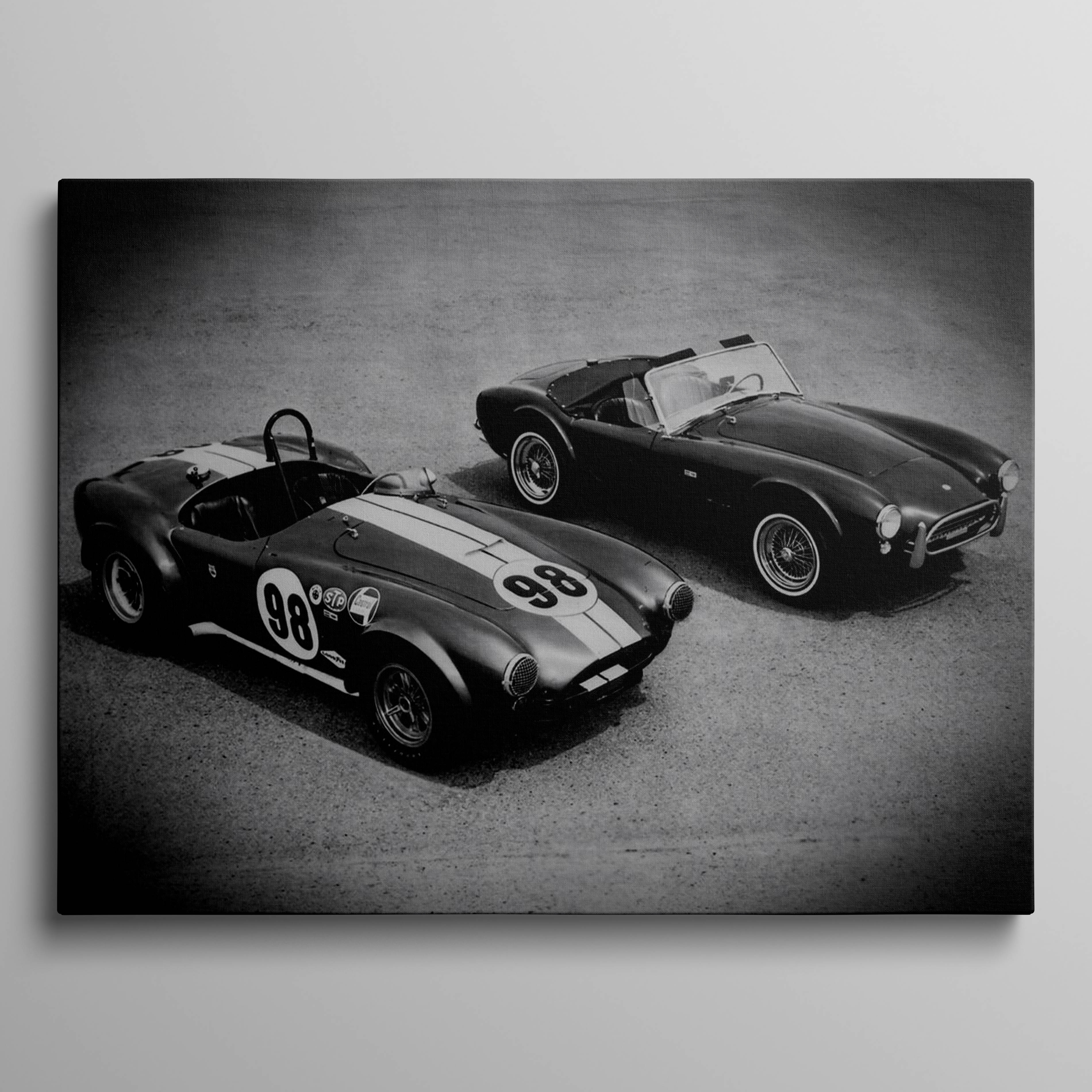 Black and White Shelby