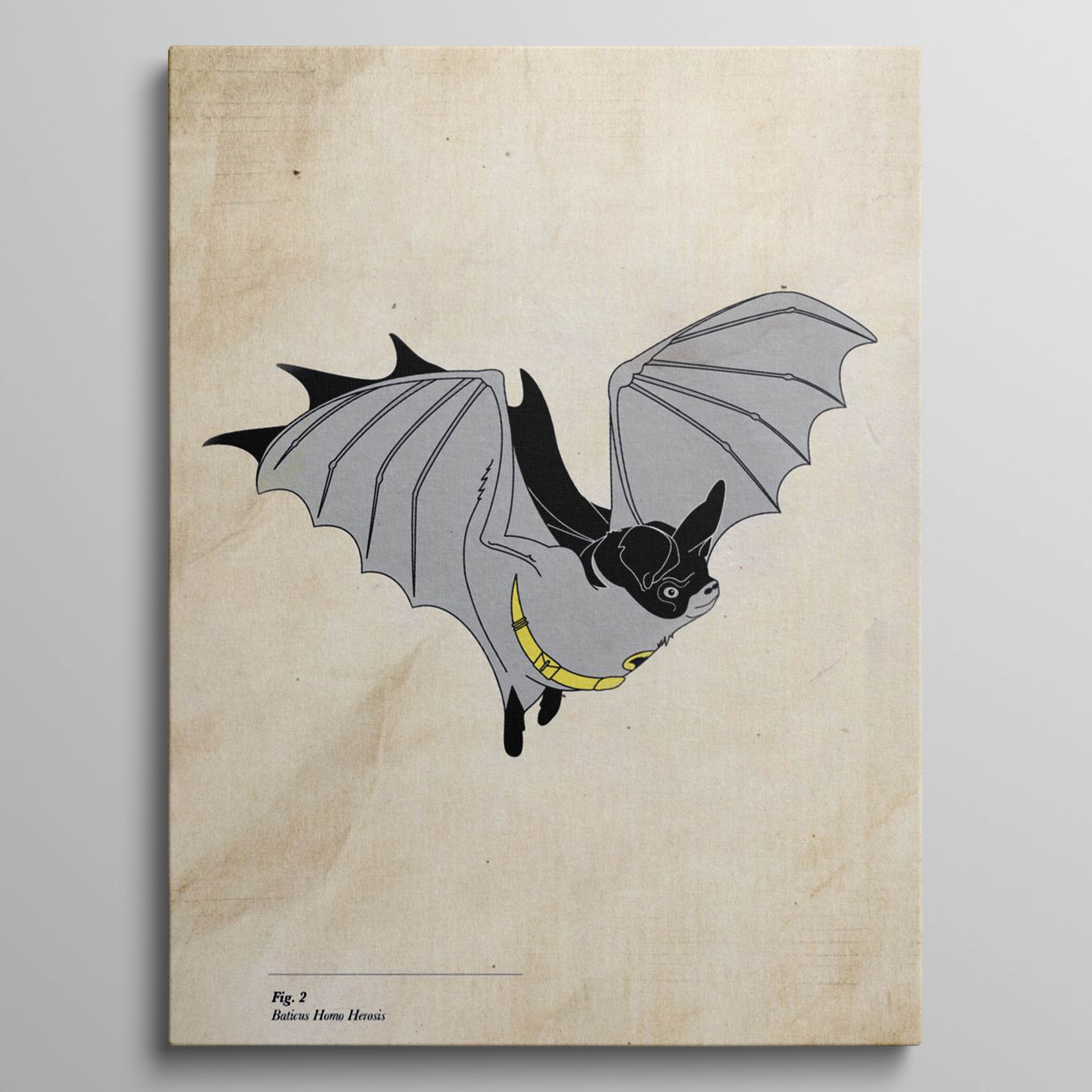 Baticus Homo Herosis