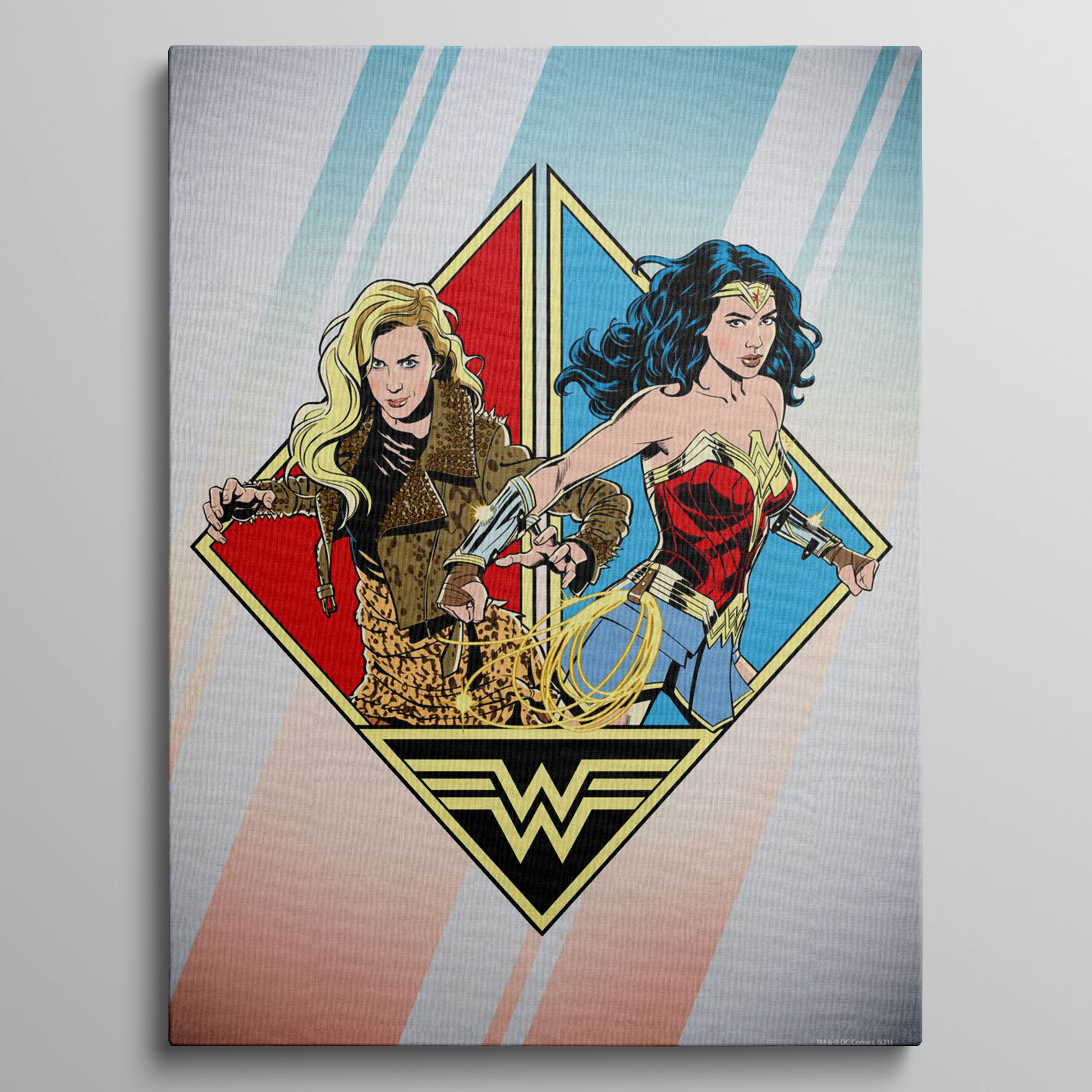 Cheetah & Wonder Womann