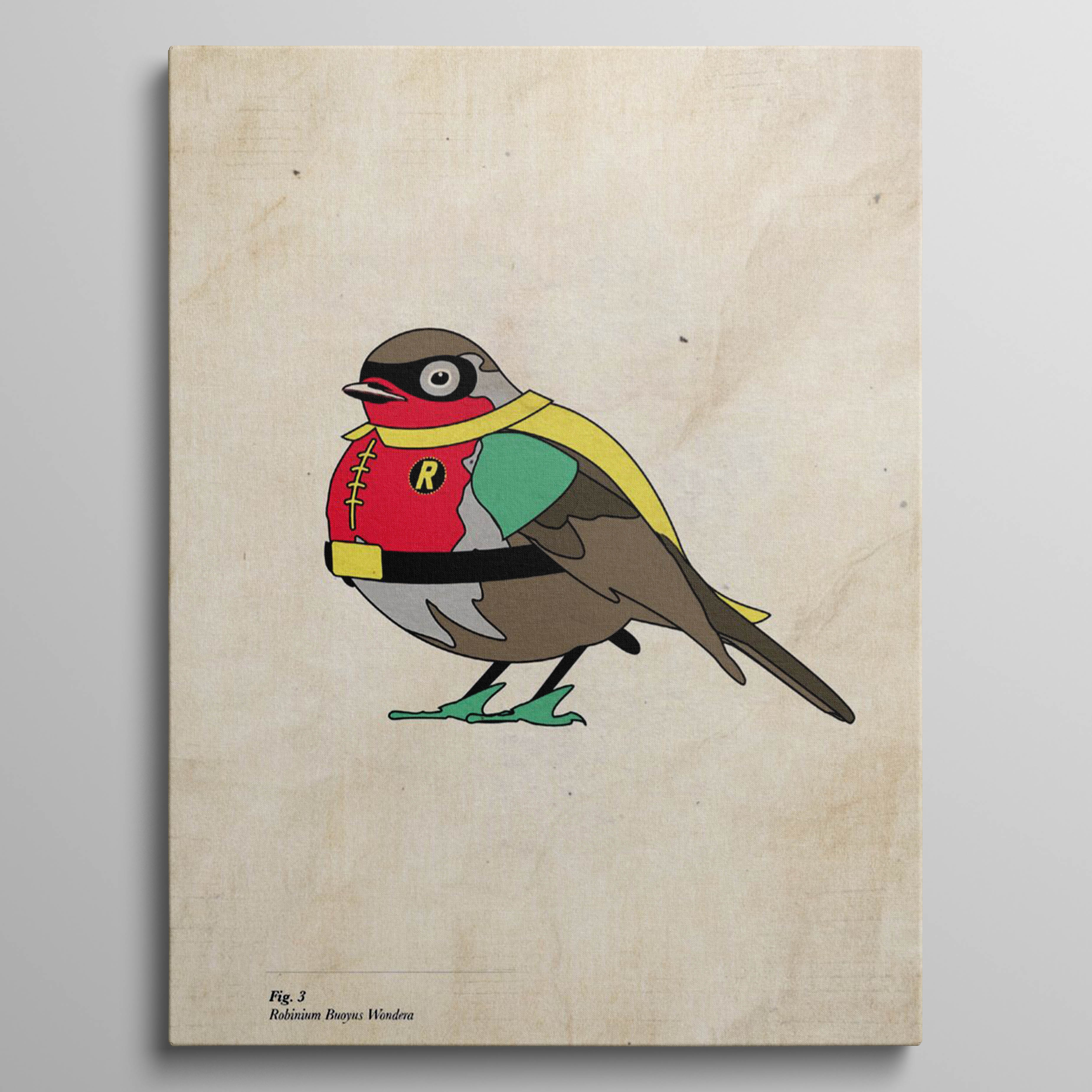 Robinium Buoyus Wondera