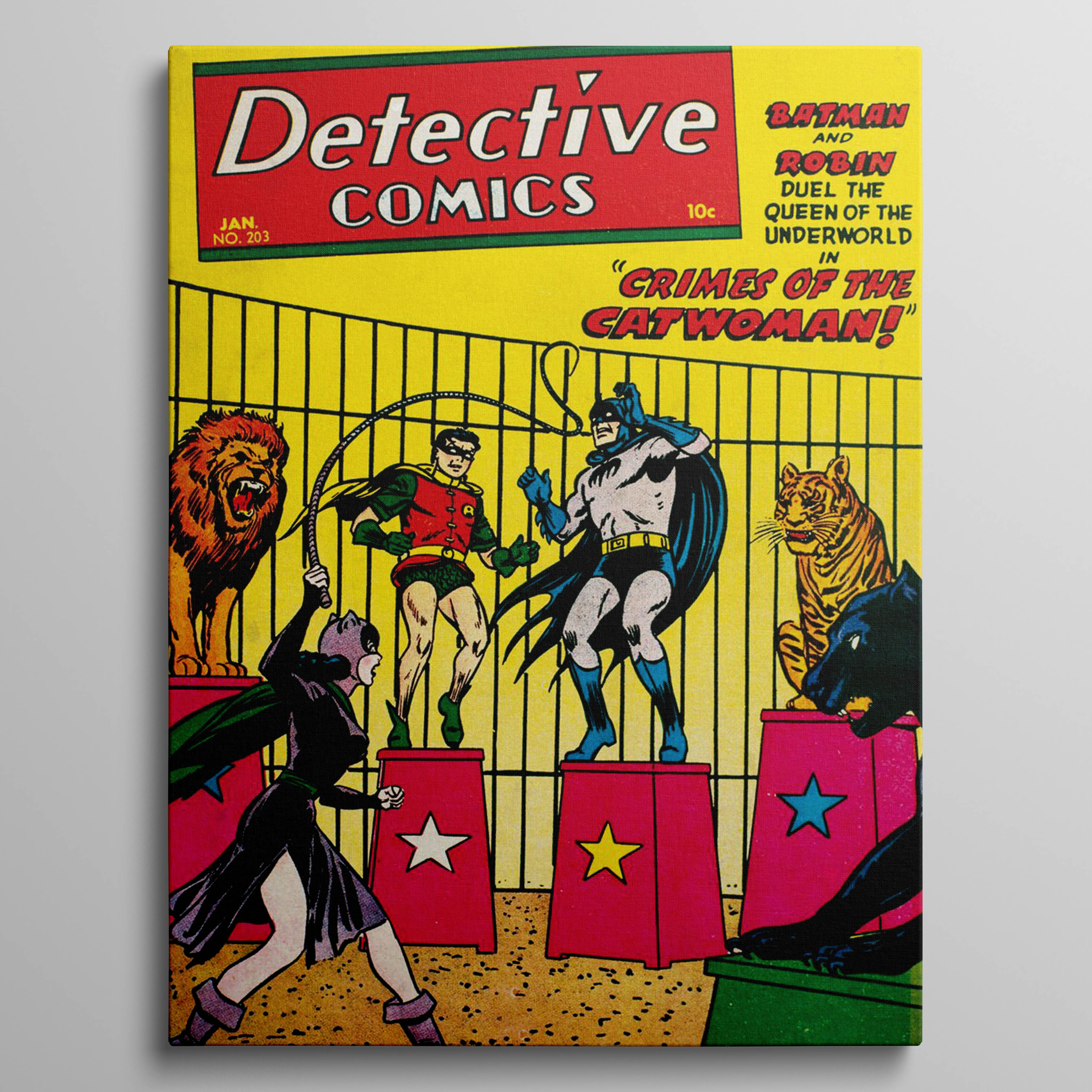 Crimes of the Catwoman