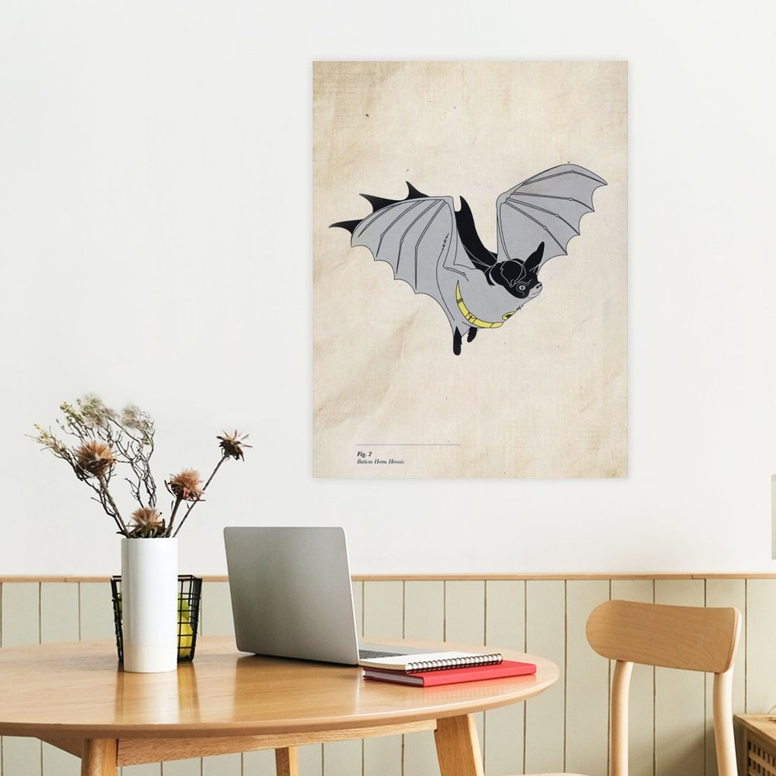 Baticus Homo Herosis