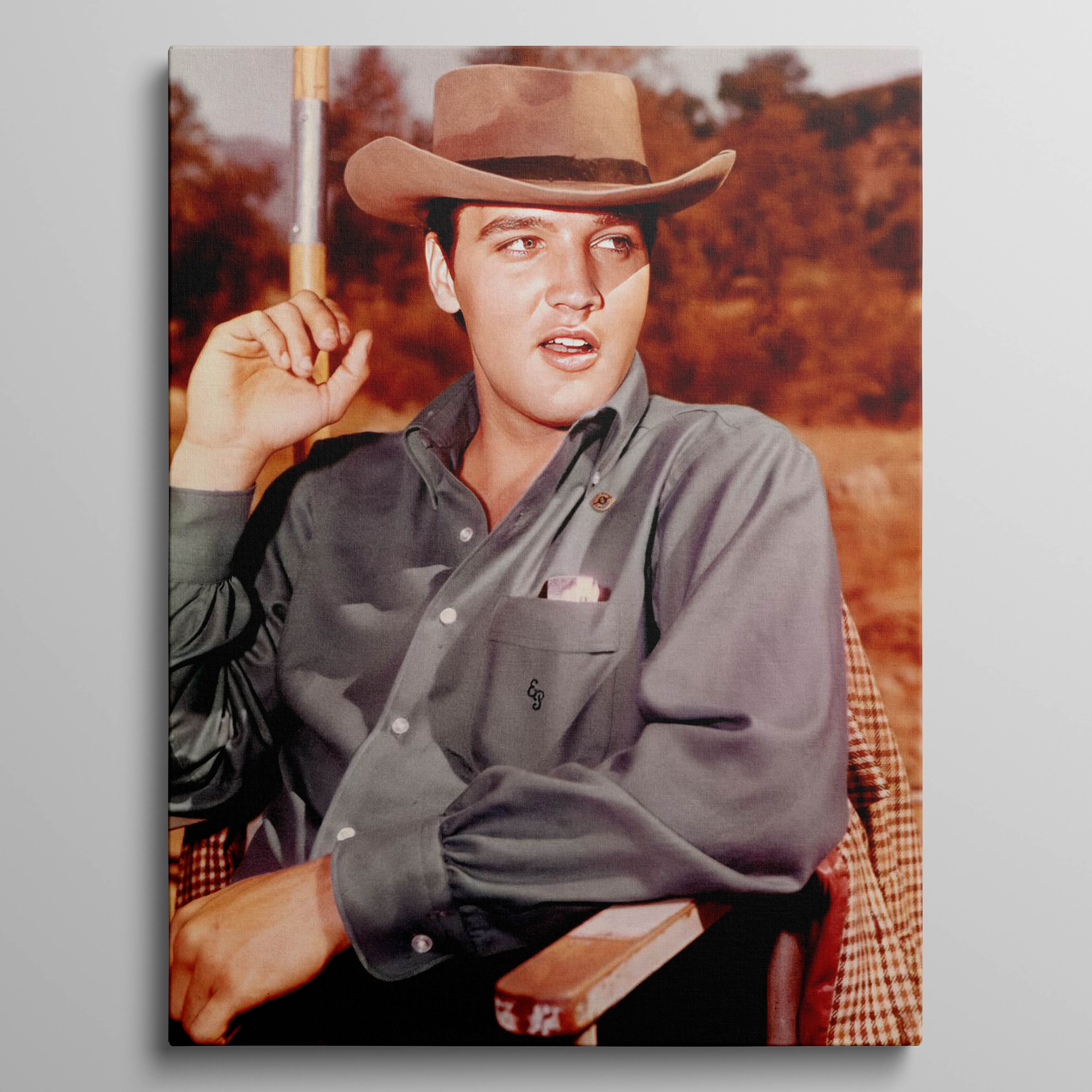 Elvis Presley photo 11