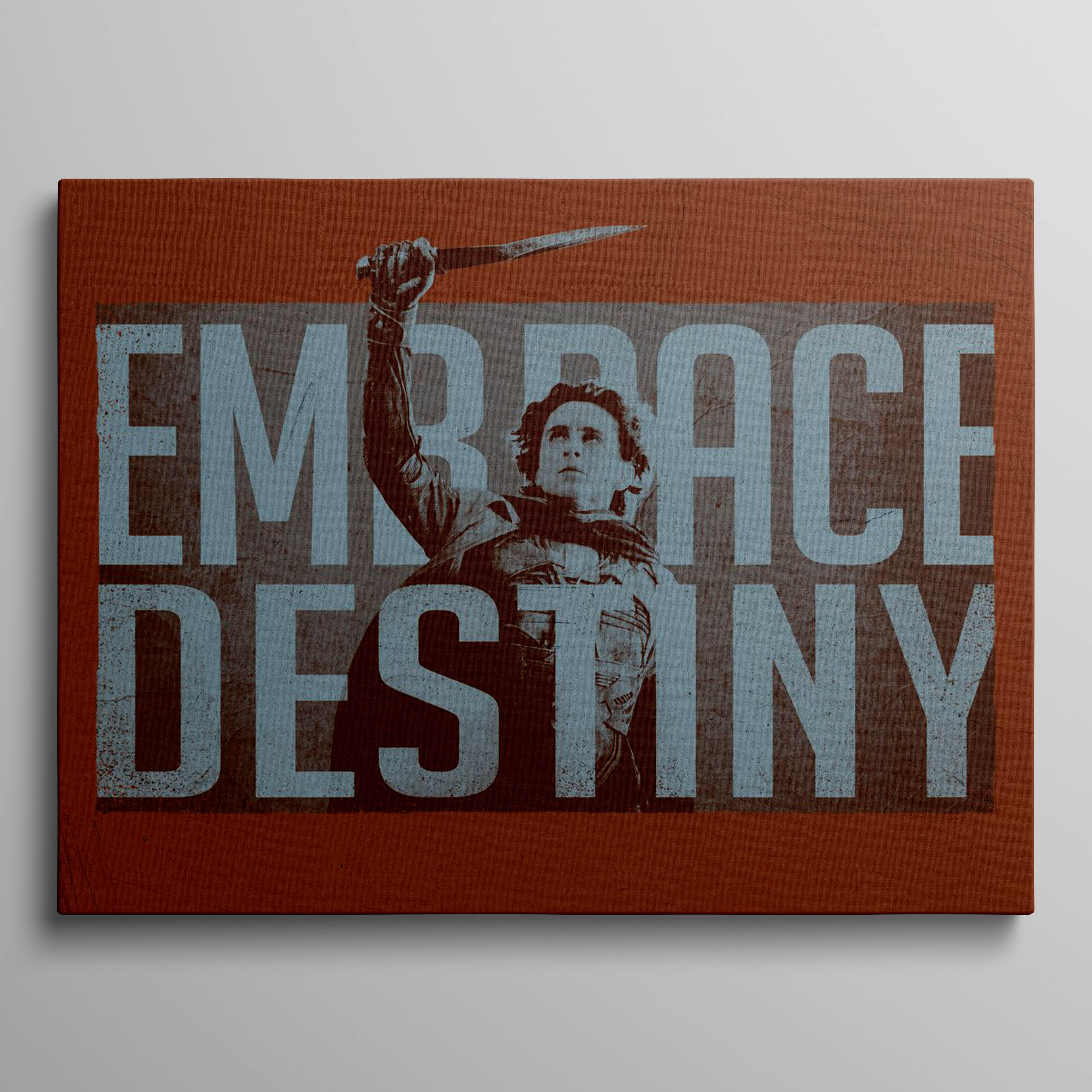 Embrace Destiny