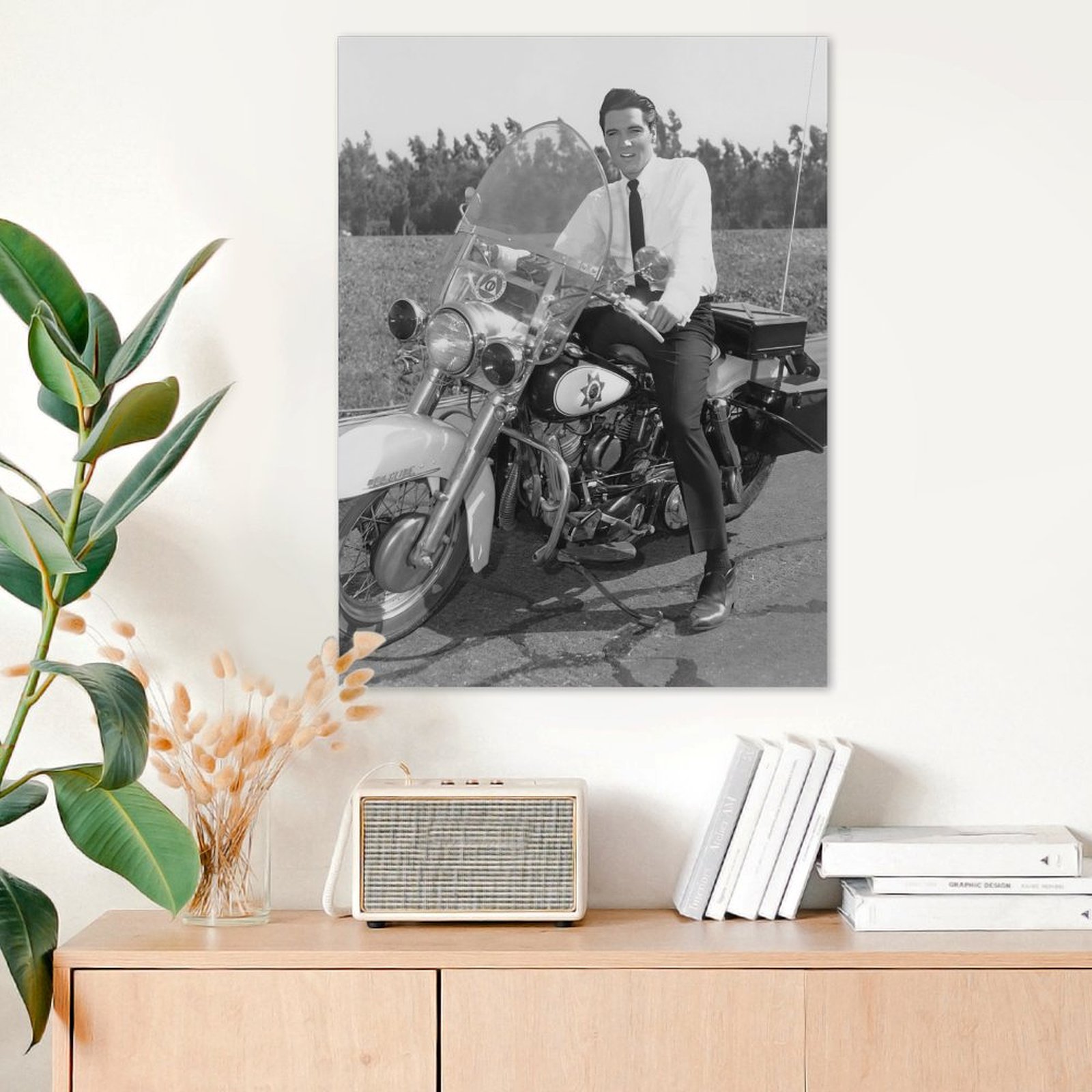 Elvis Presley photo 7