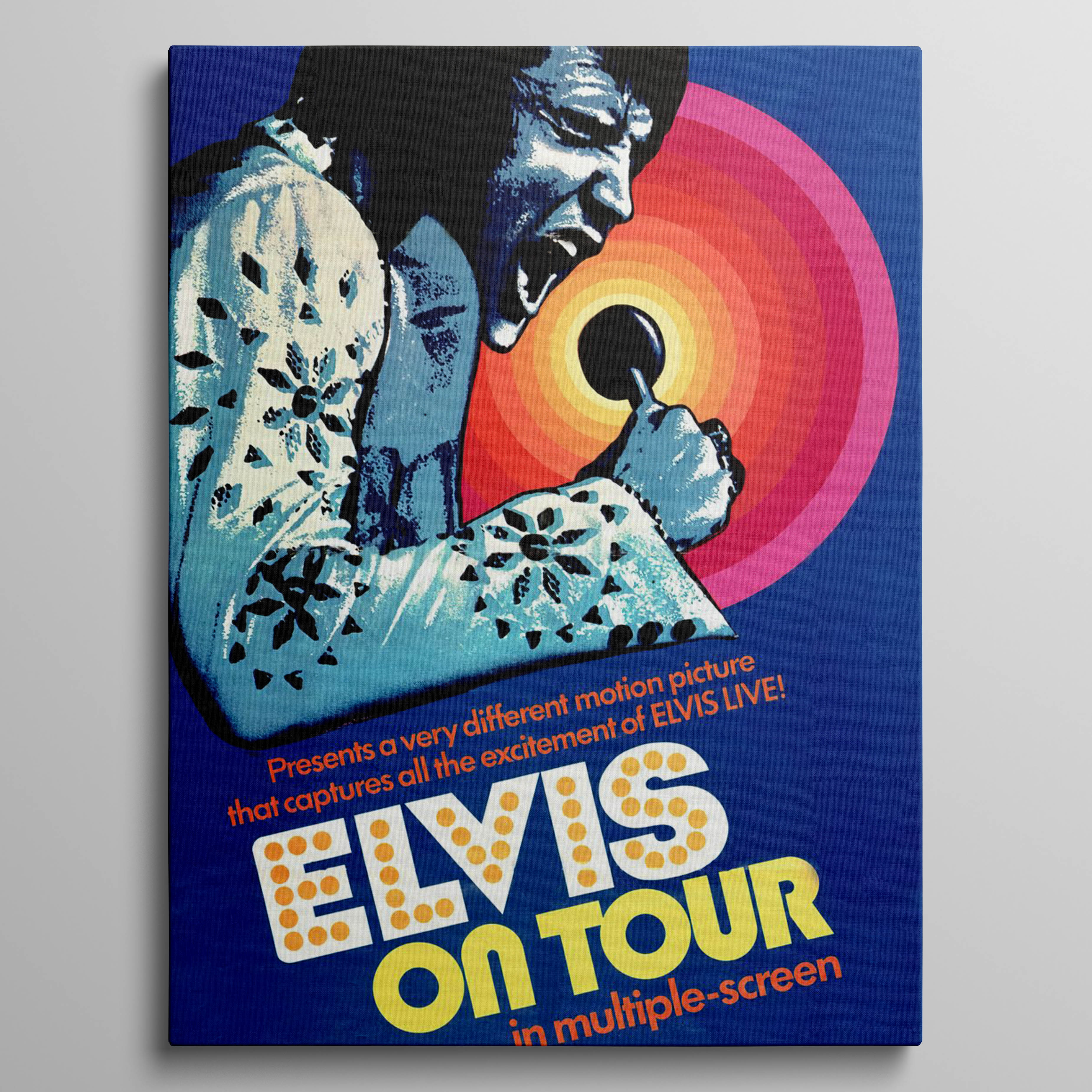 Elvis On Tour