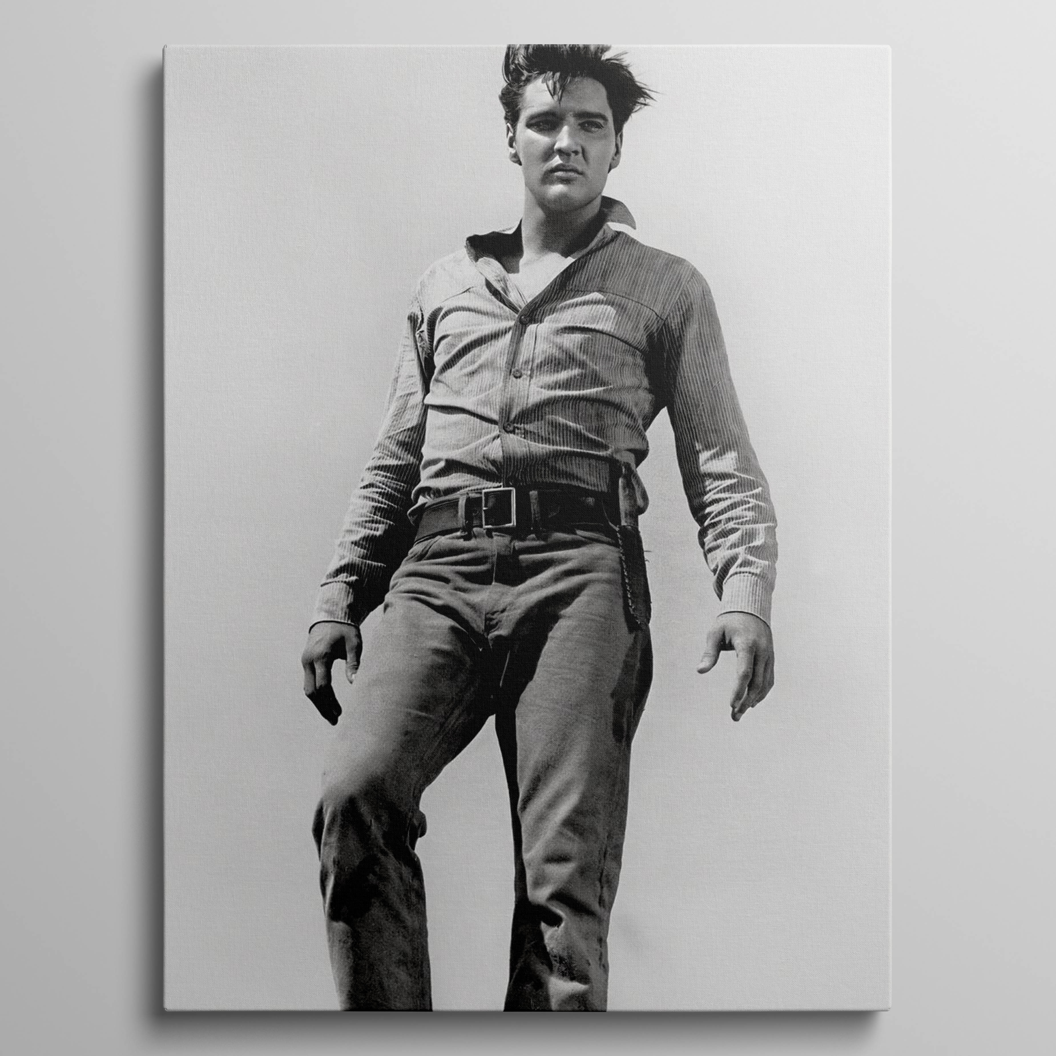 Elvis Presley photo 3