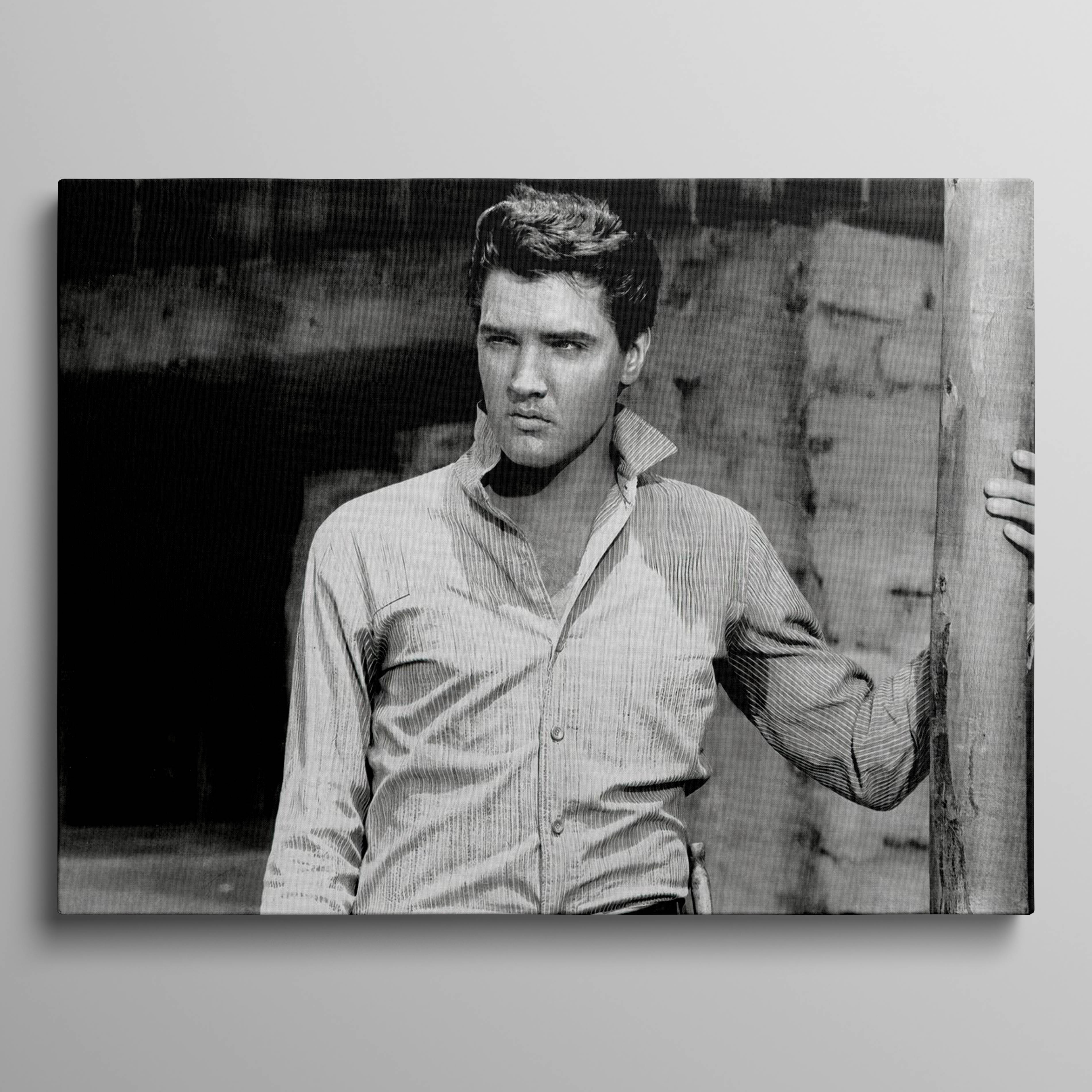 Elvis Presley photo 12