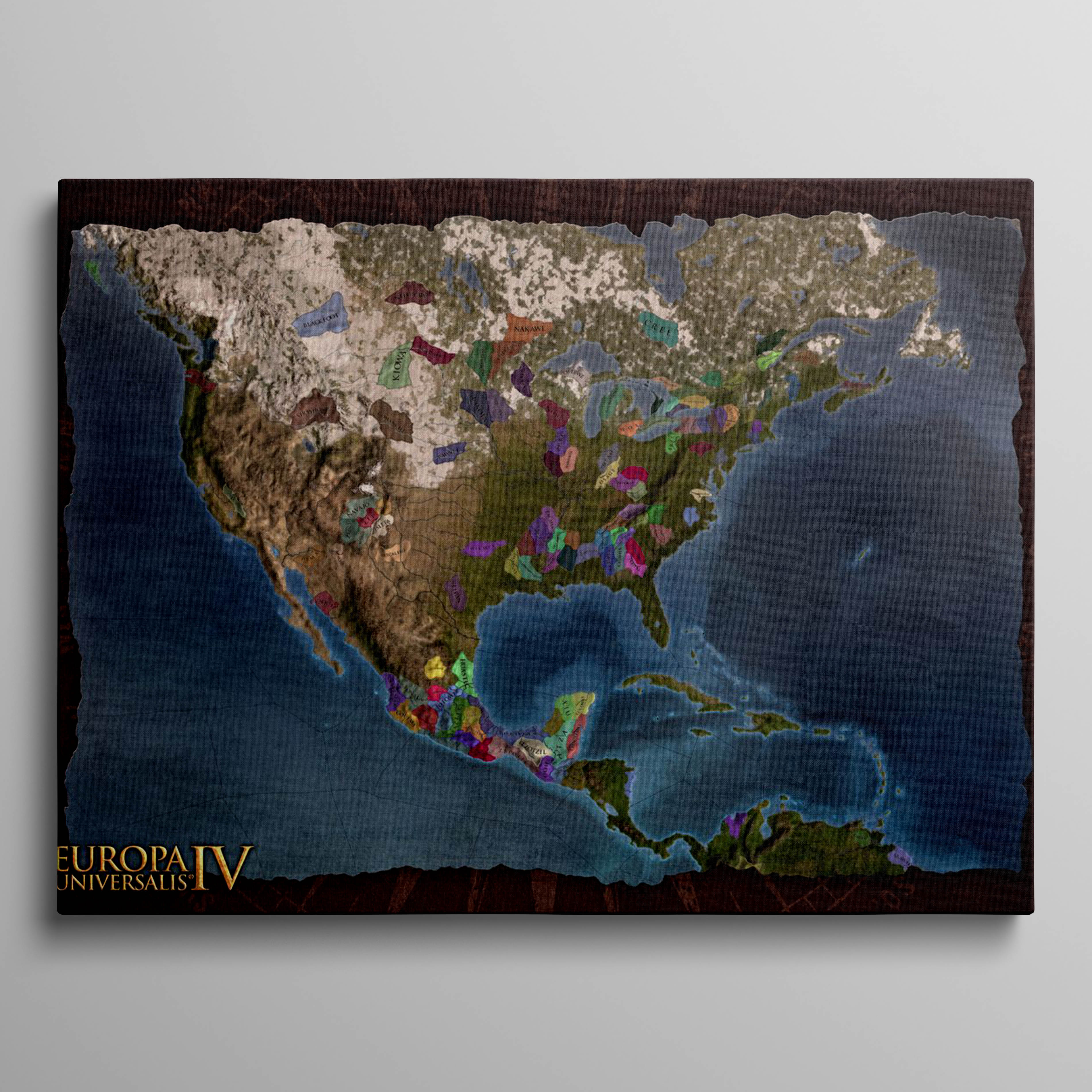 North America Brown Map