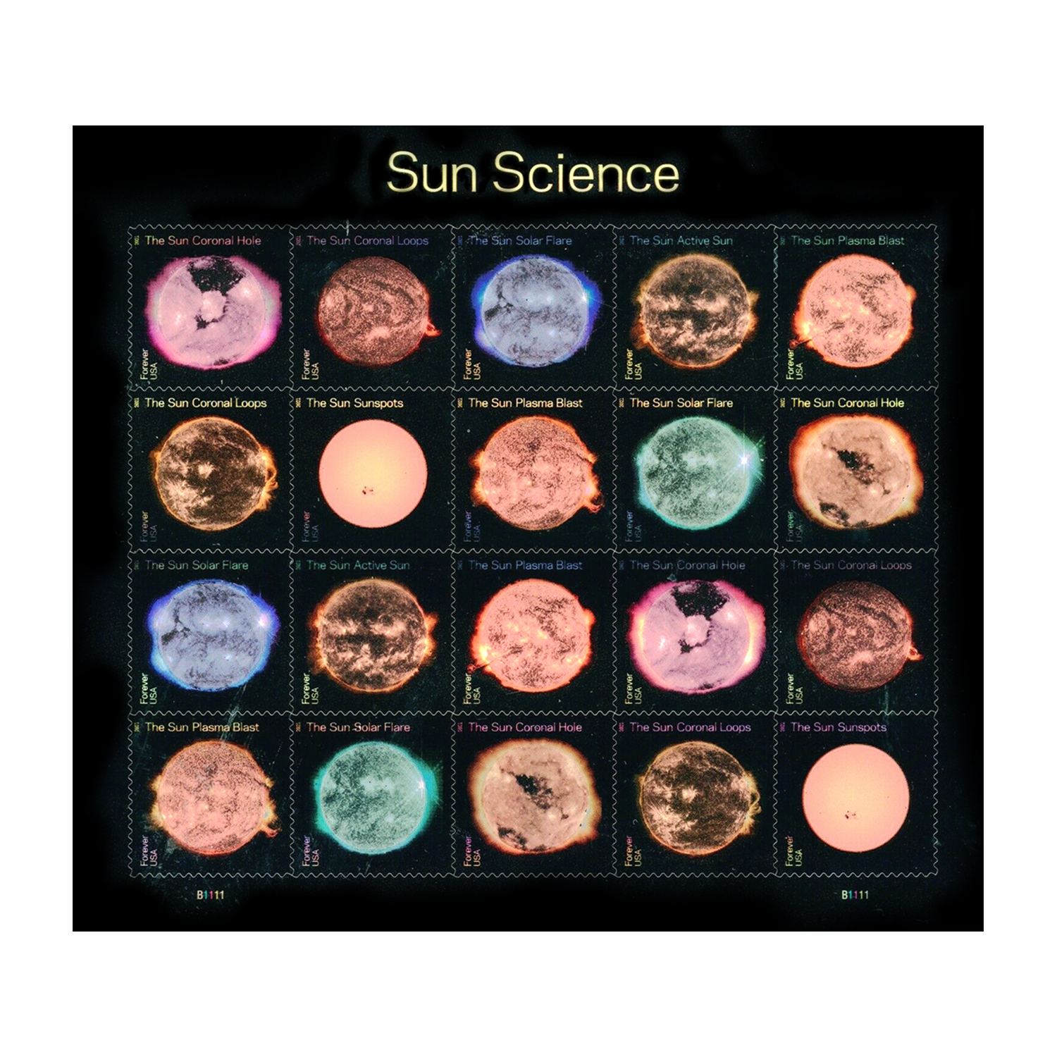 Sun Science