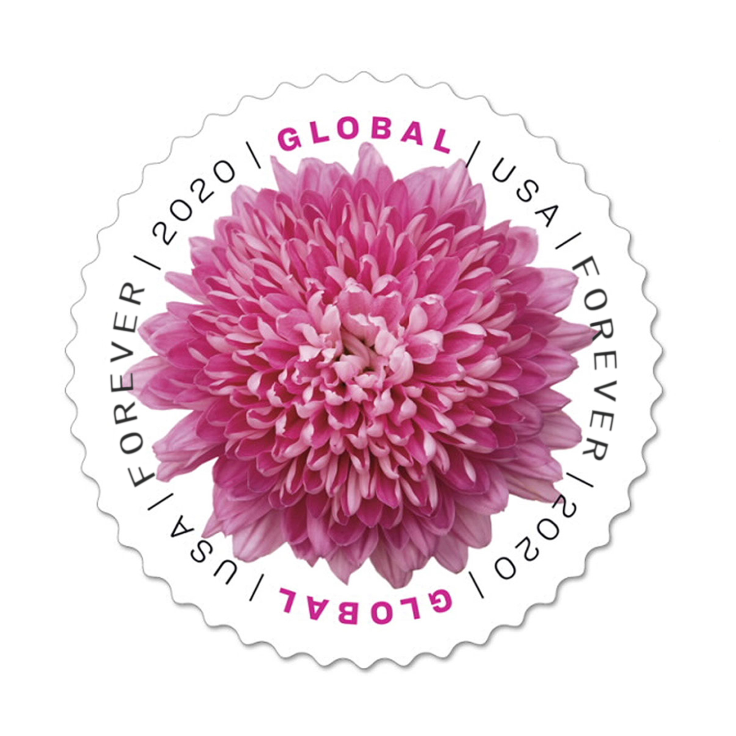 Global 2020 Forever international U.S.